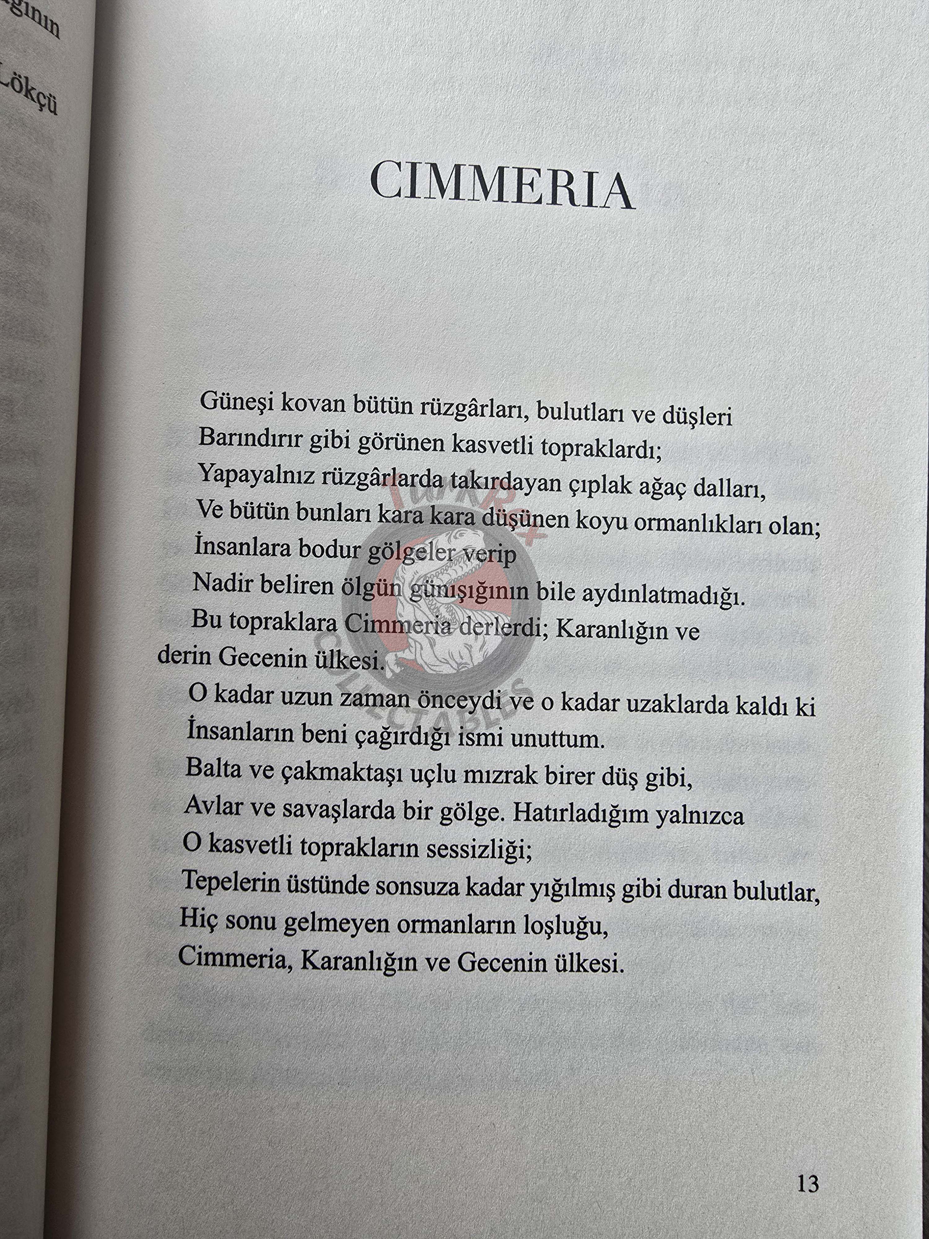Robert E. Howard - Conan First Edition Turkish Boxed Set Book Turkey