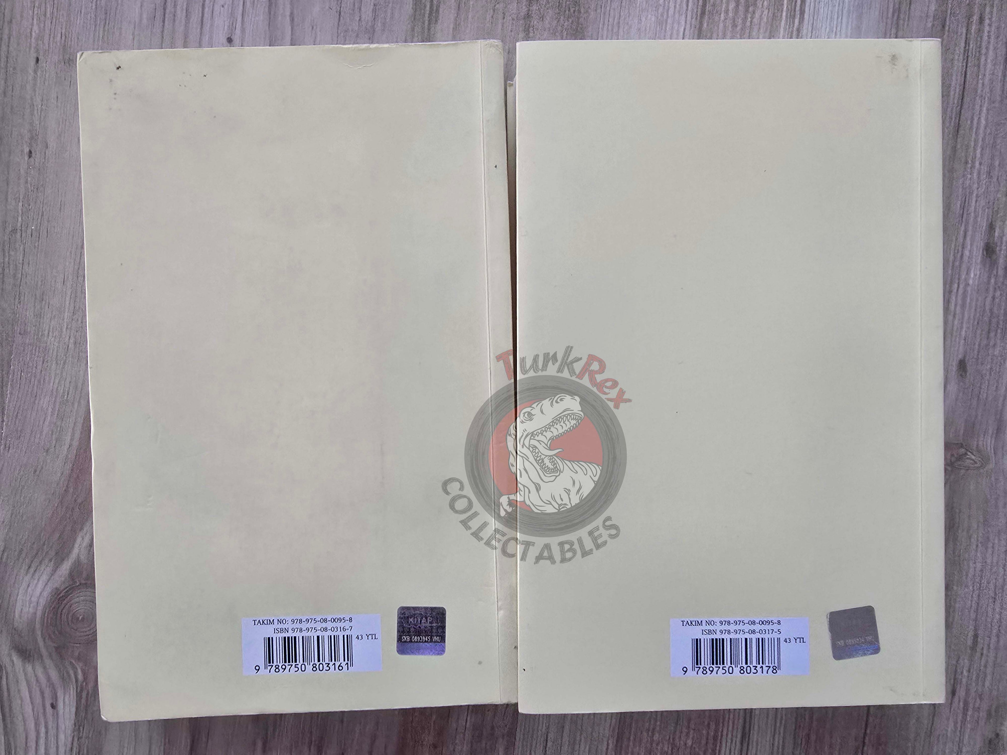 Charles Dickens – Bleak House 2008 Turkish Book Turkey