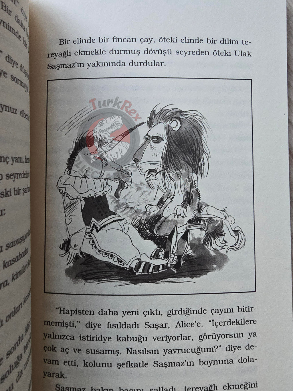 Lewis Carroll – Through the Looking-Glass 2012 Turkish Book Turkey Illustrated