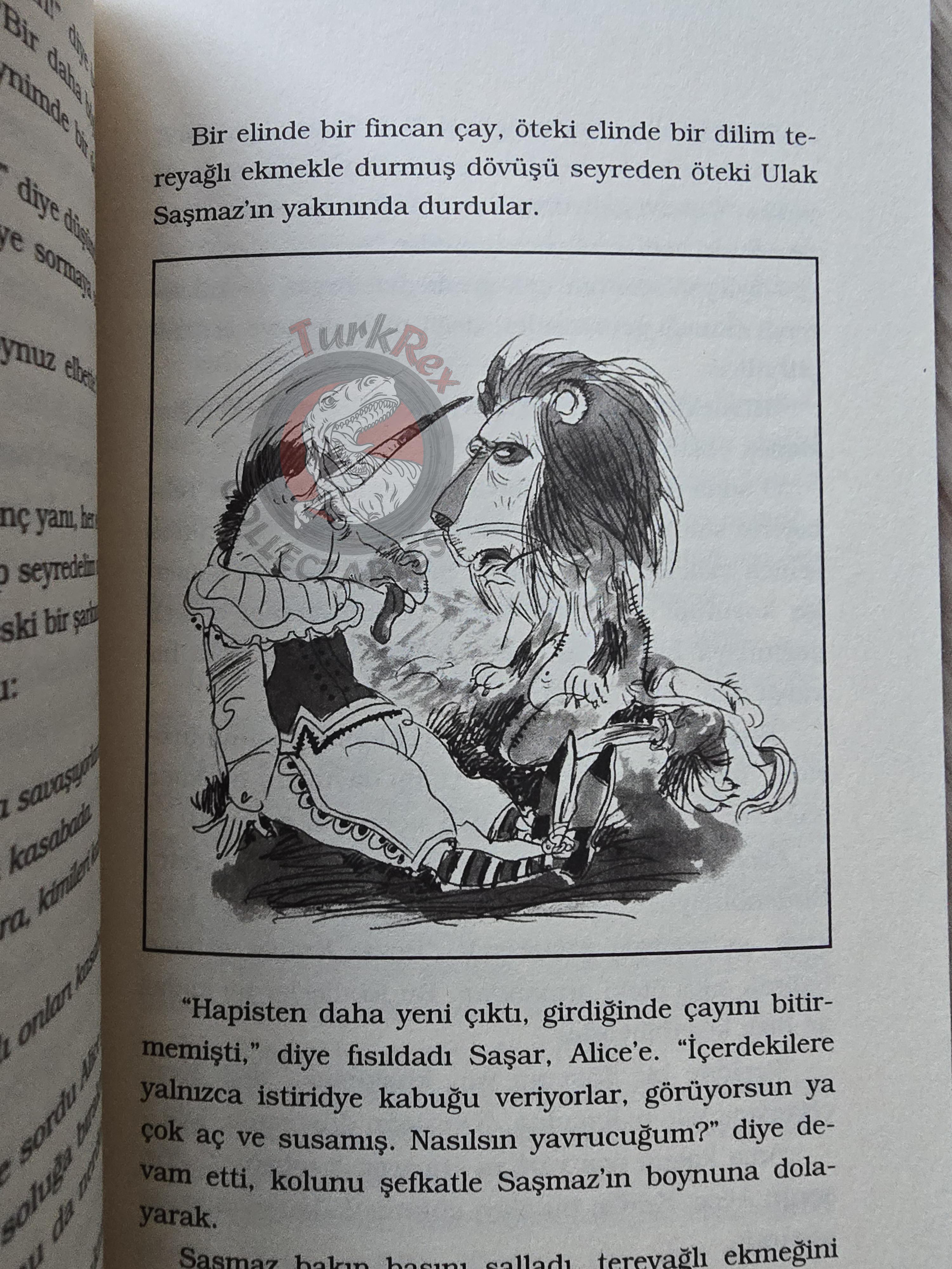 Lewis Carroll – Through the Looking-Glass 2012 Turkish Book Turkey Illustrated
