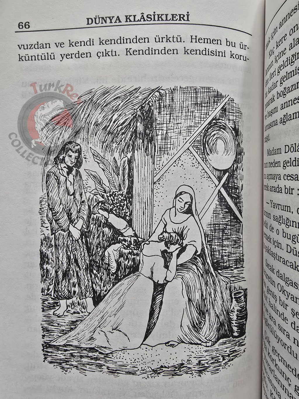 Bernardin de Saint-Pierre – Paul et Virginie 1990s Turkish Book Turkey Illustrated