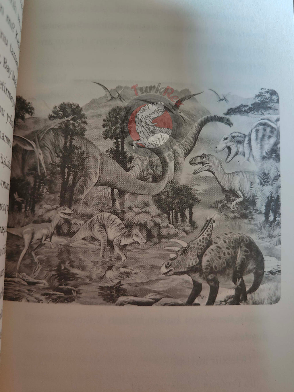 Arthur Conan Doyle – The Lost World 2018 Turkish Book Turkey Illustrated