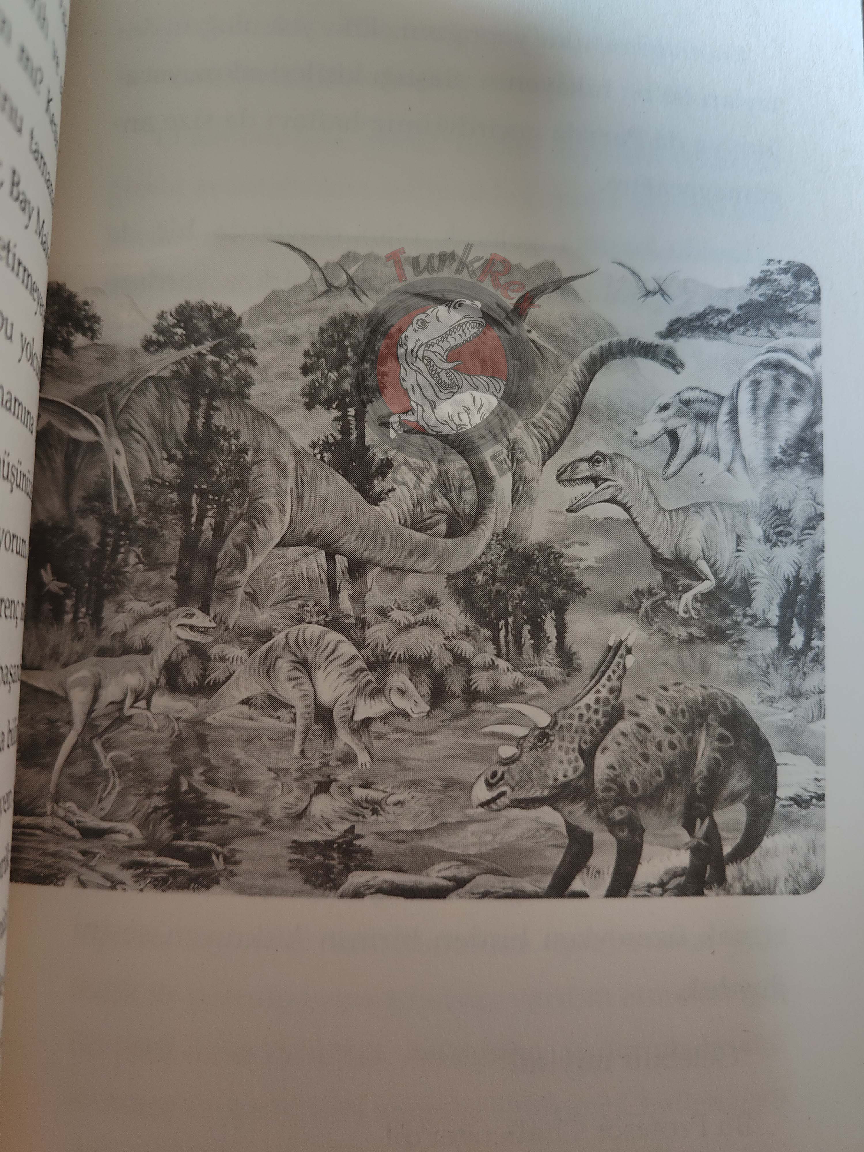 Arthur Conan Doyle – The Lost World 2018 Turkish Book Turkey Illustrated