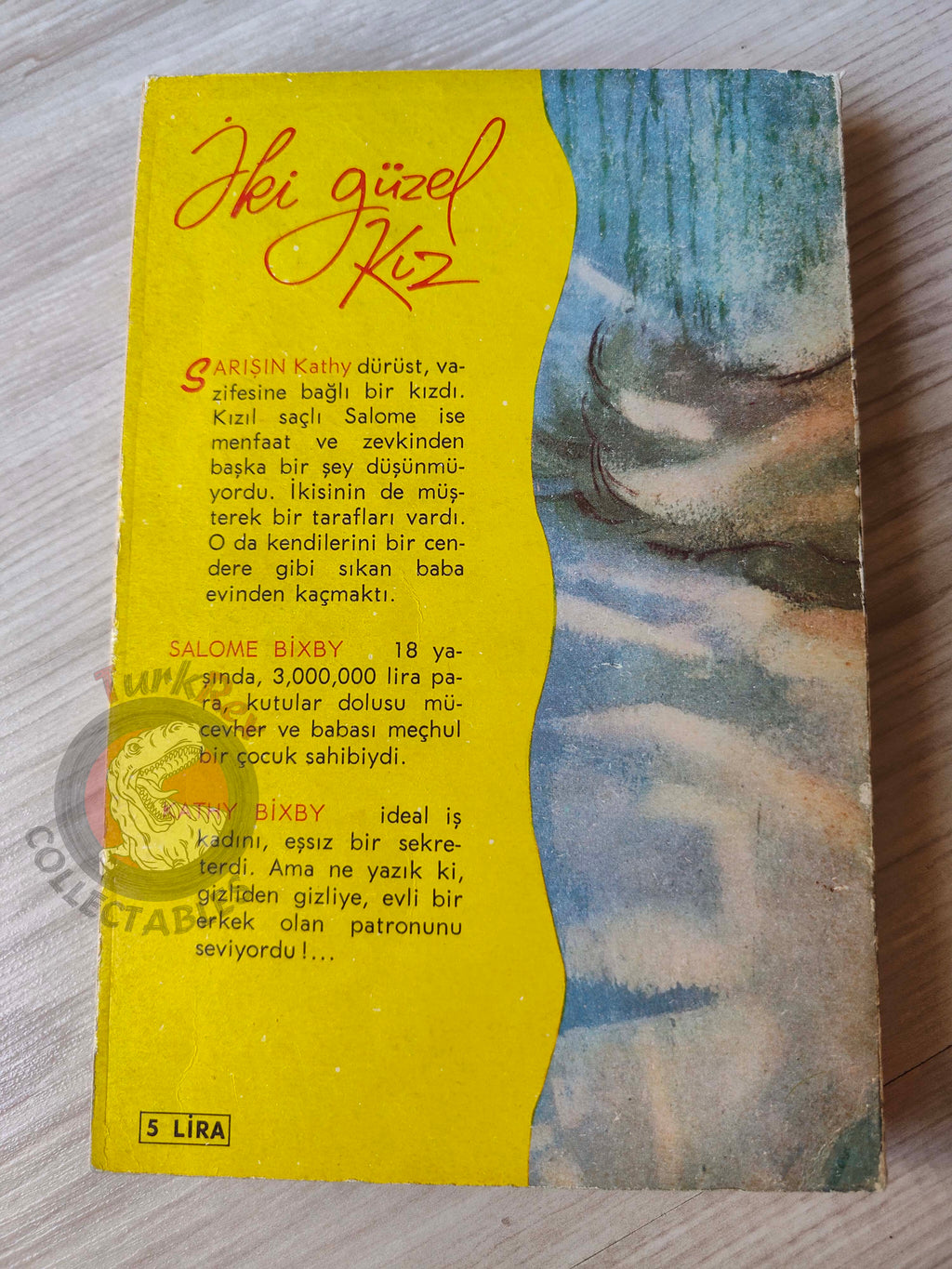 Rosamond Marshall – The Bixby Girls 1963 1st Turkish Book Turkey