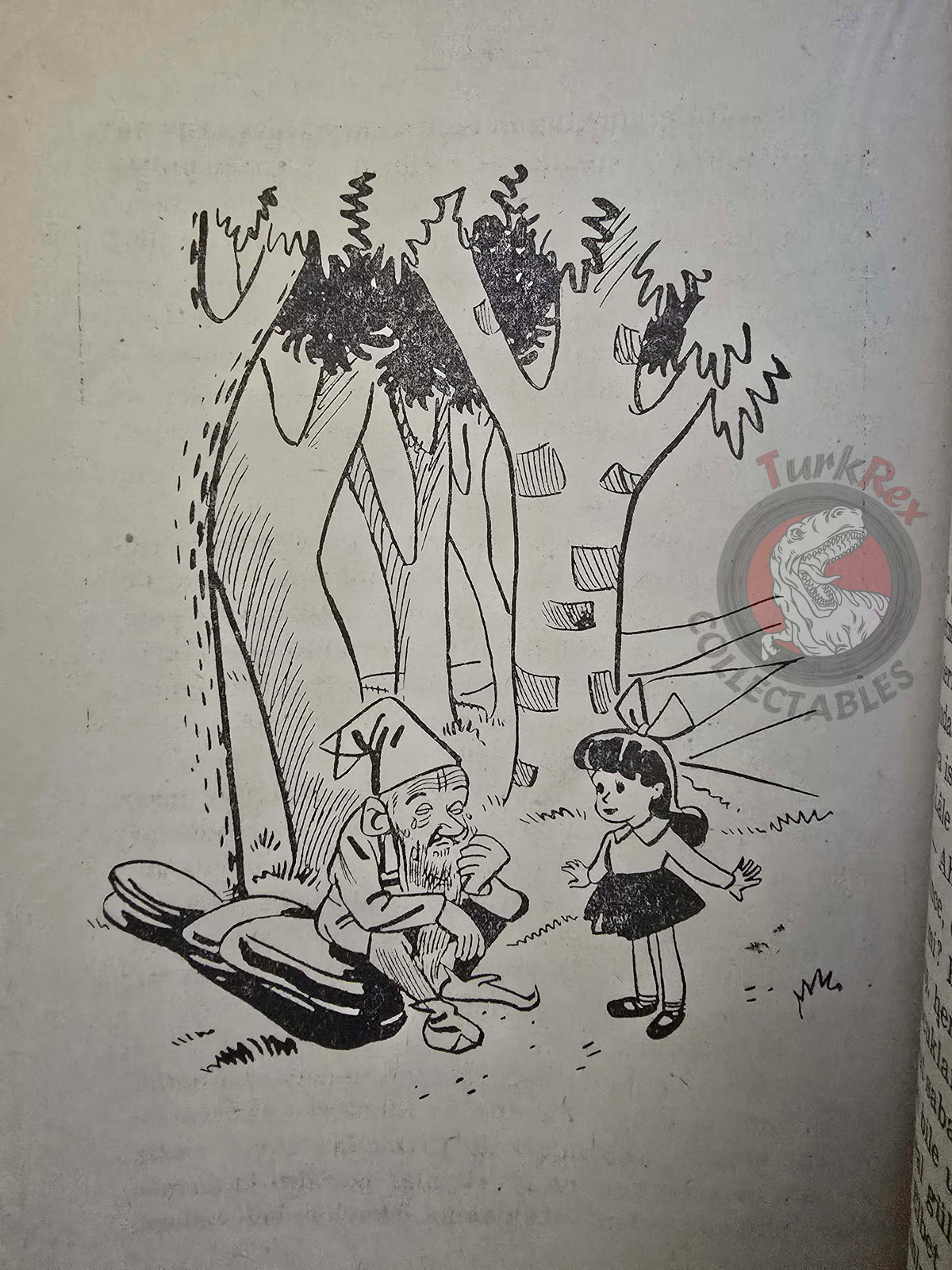Şükran Eğrilmez – The King of Monkeys 1952 Turkish Book Turkey Illustrated