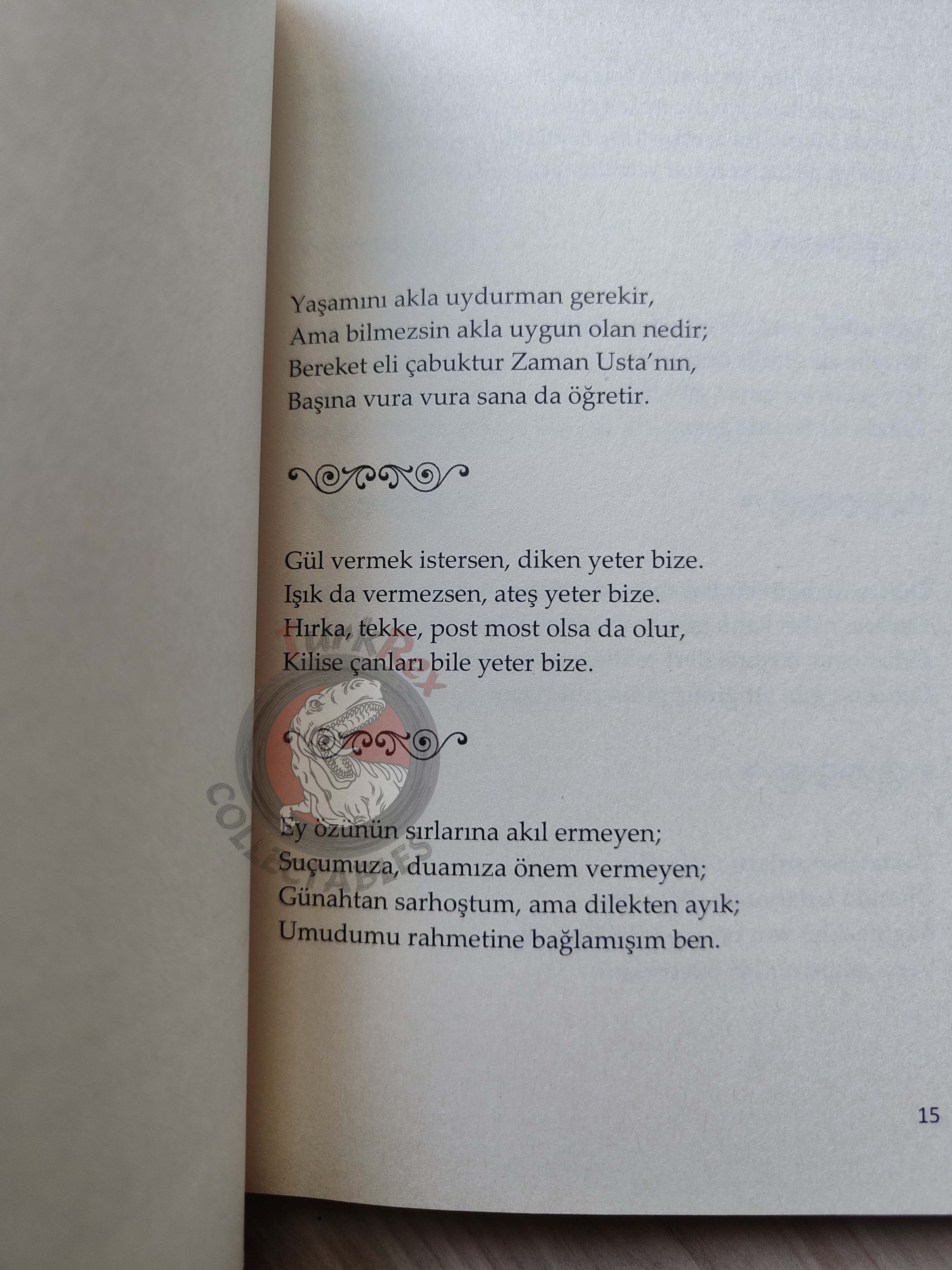 Rubaiyat of Omar Khayyam 2013 Illustrated Turkish Book Turkey
