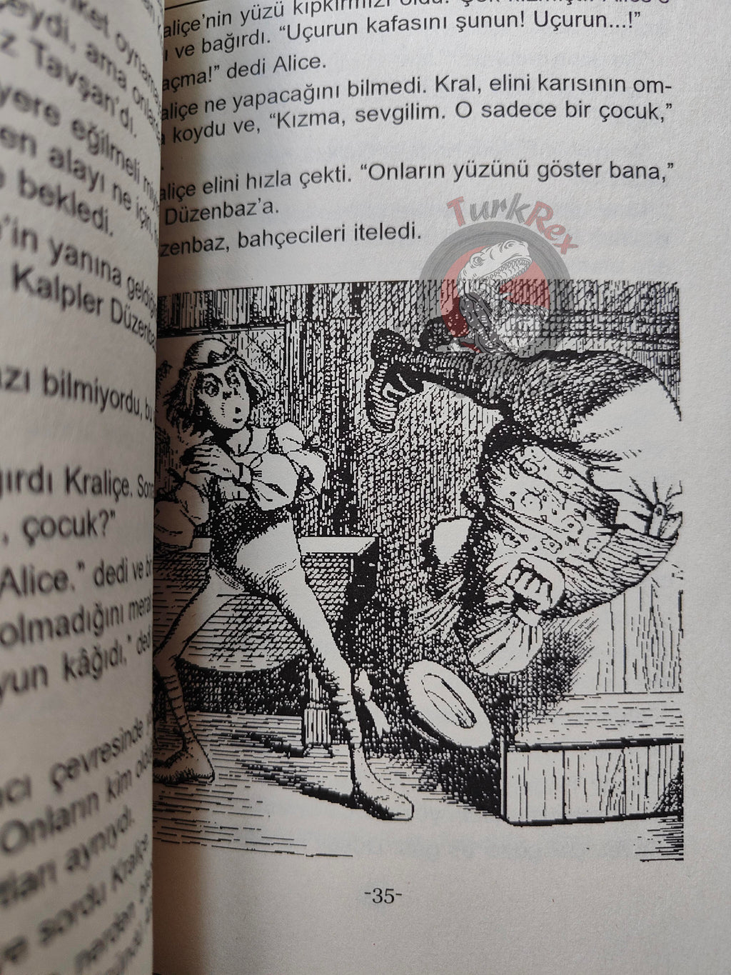Lewis Carroll – Alice in Wonderland 2011 Turkish Book Turkey Illustrated 3