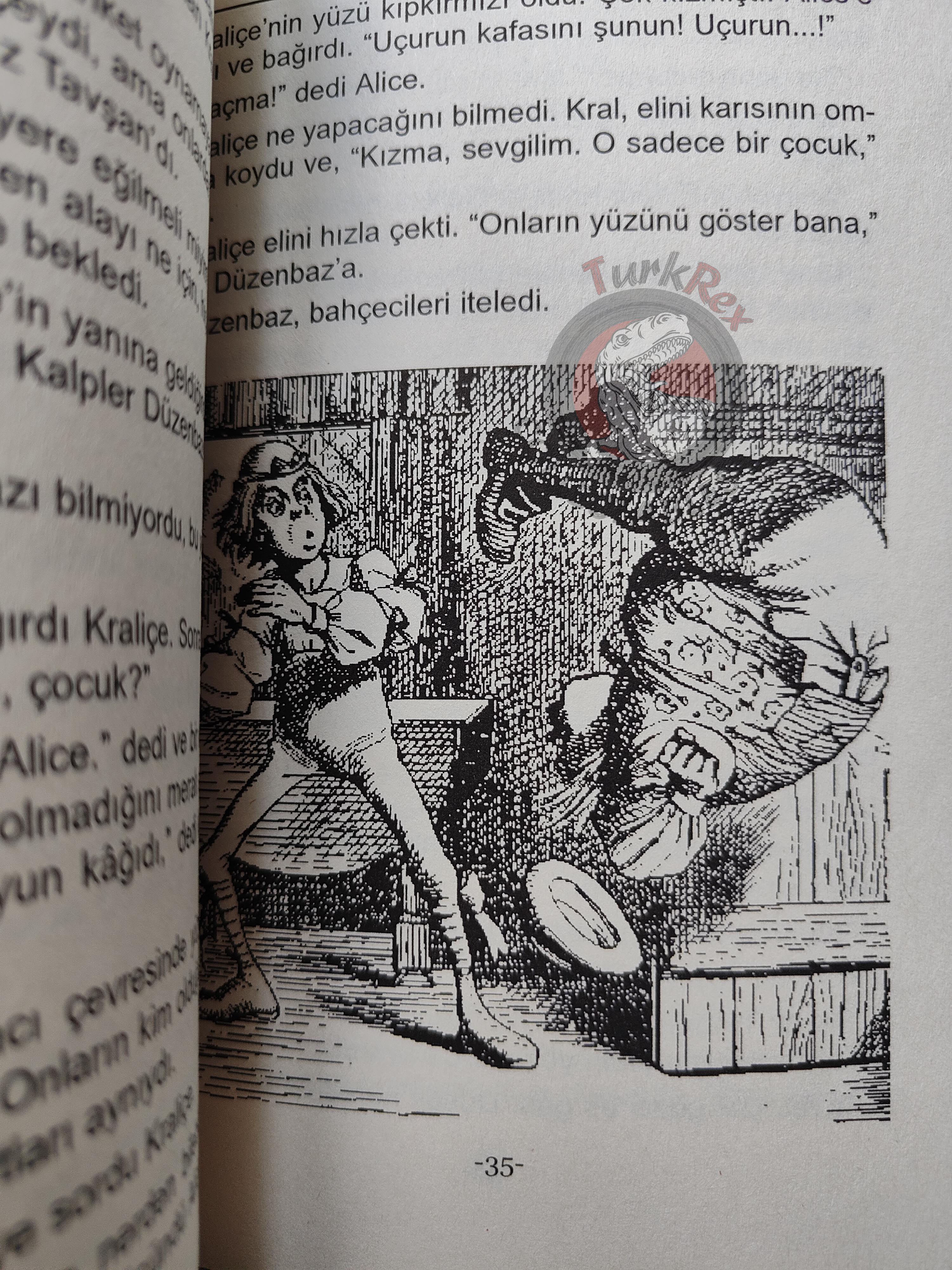 Lewis Carroll – Alice in Wonderland 2011 Turkish Book Turkey Illustrated 3