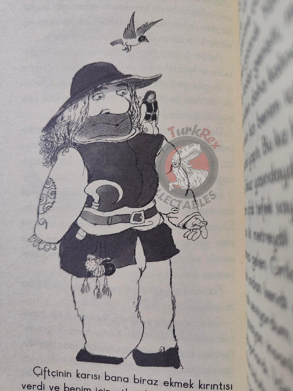 Jonathan Swift – Gulliver's Travels 2007 Turkish Book Turkey Illustrated