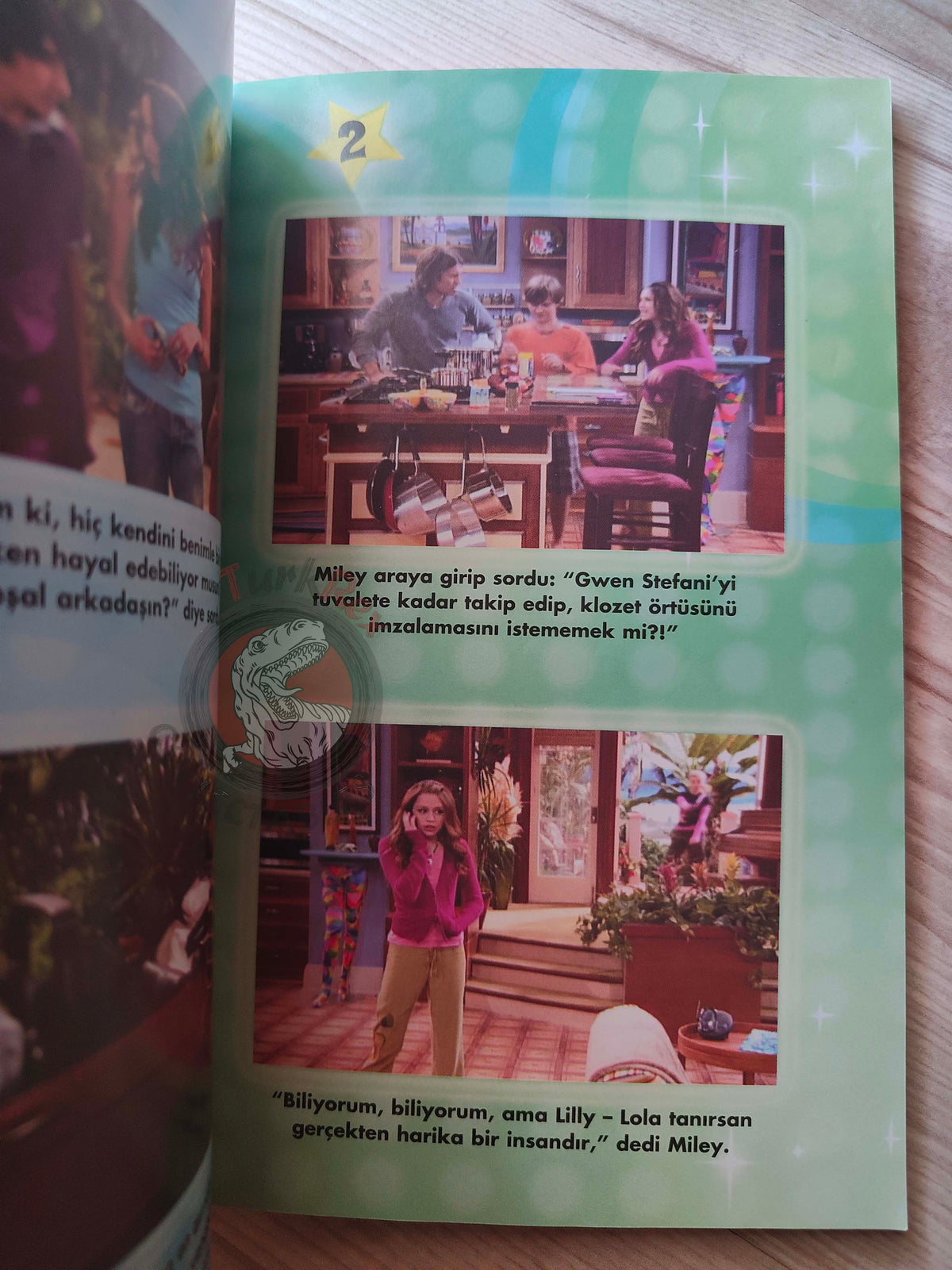 Beth Beechwood – Hannah Montana: Keeping Secrets 2009 Turkish Book Turkey