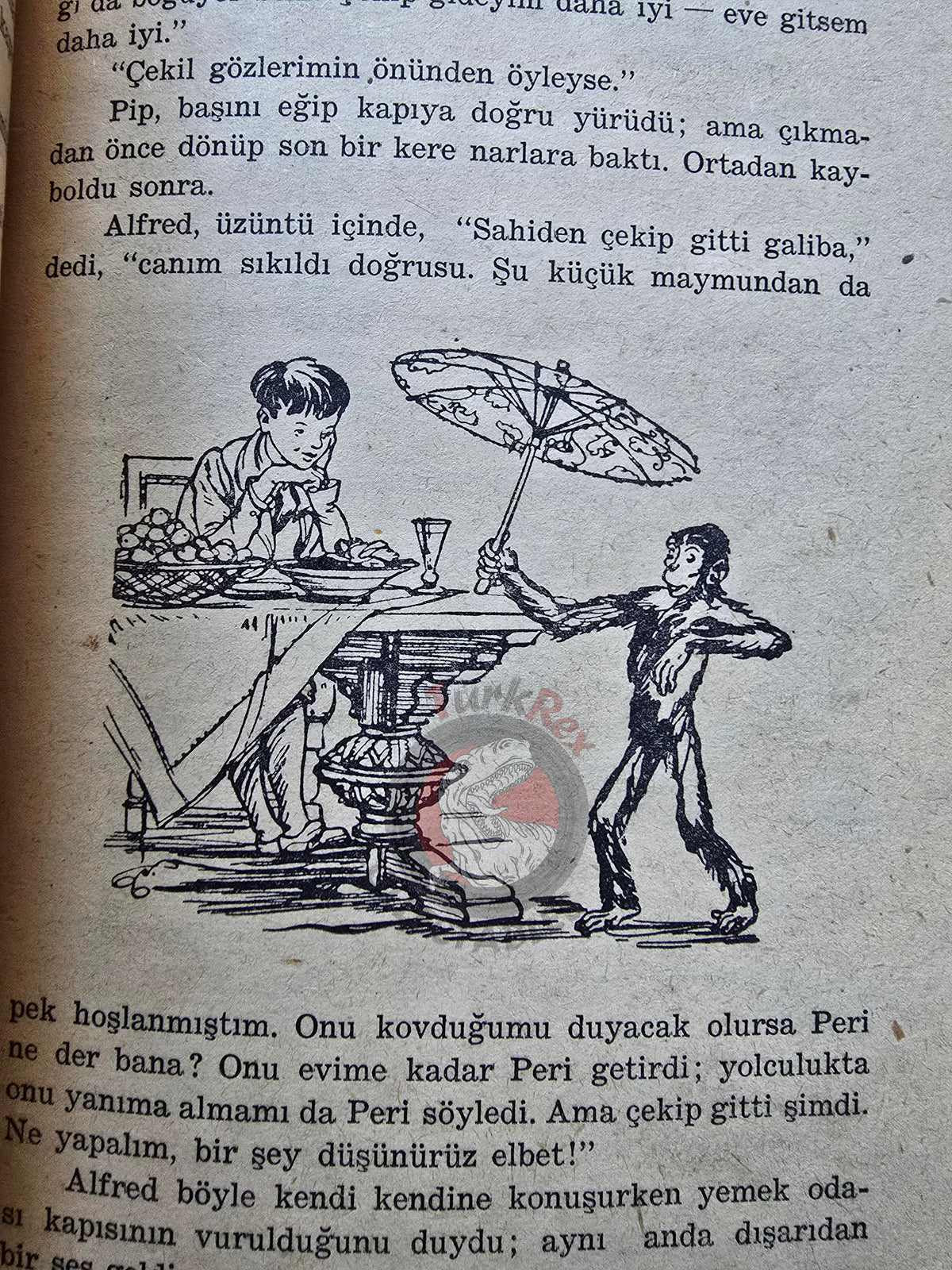 Carlo Collodi – Adventures Of Pipi The Pink Monkey 1961 Turkish Book Turkey Illustrated