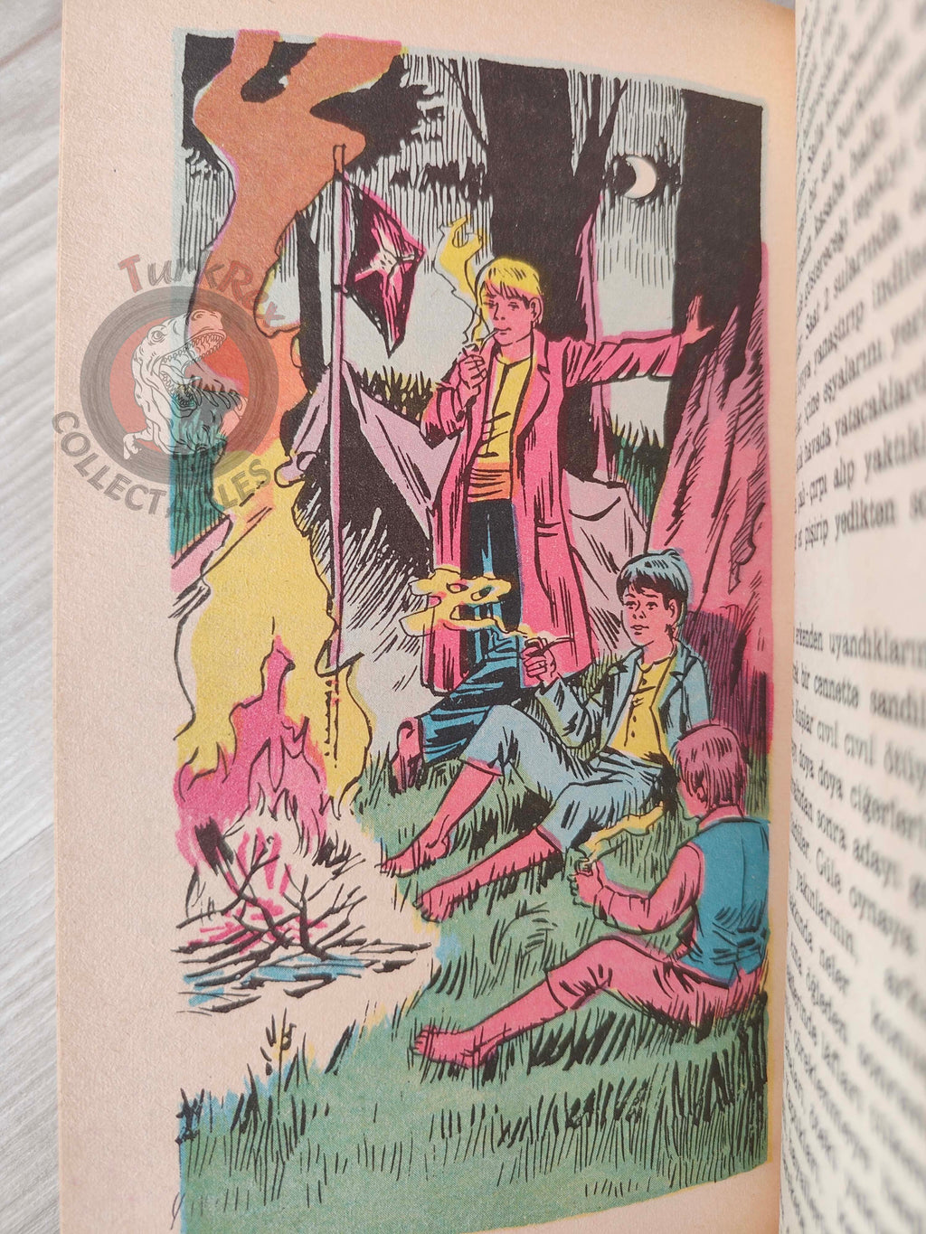 Mark Twain – Tom Sawyer 1984 Turkish Book Turkey Illustrated