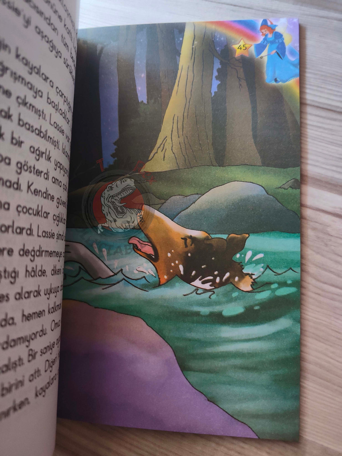 Eric Knight – Lassie 2010 Turkish Book Turkey Illustrated