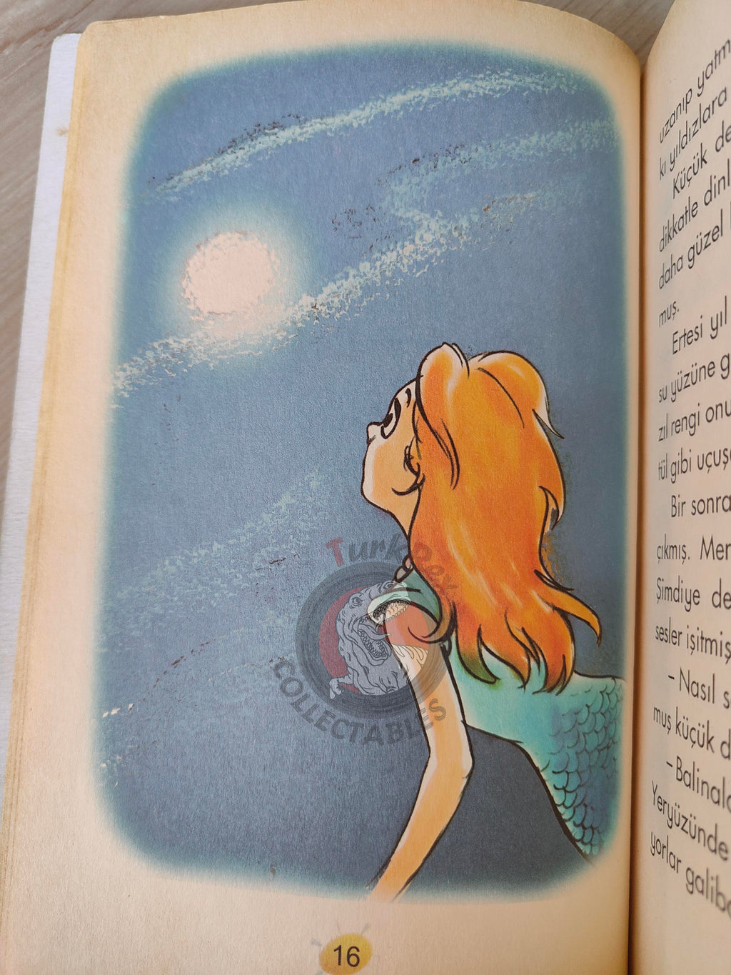 Hans Christian Andersen – The Little Mermaid 2003 Turkish Book Turkey Illustrated