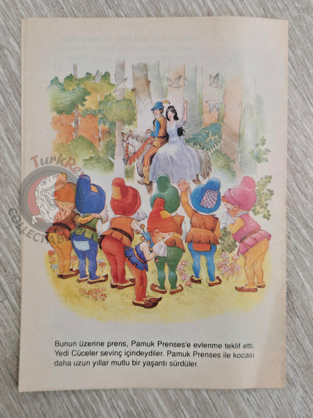 Grimm Brothers – Snow White and the Seven Dwarfs 1984 Turkish Book Turkey Illustrated