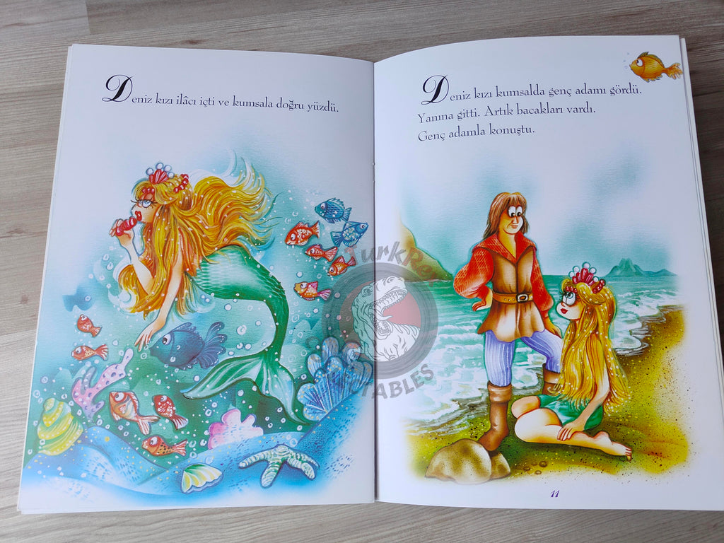 Hans Christian Andersen – The Little Mermaid 2000s Turkish Book Turkey Illustrated