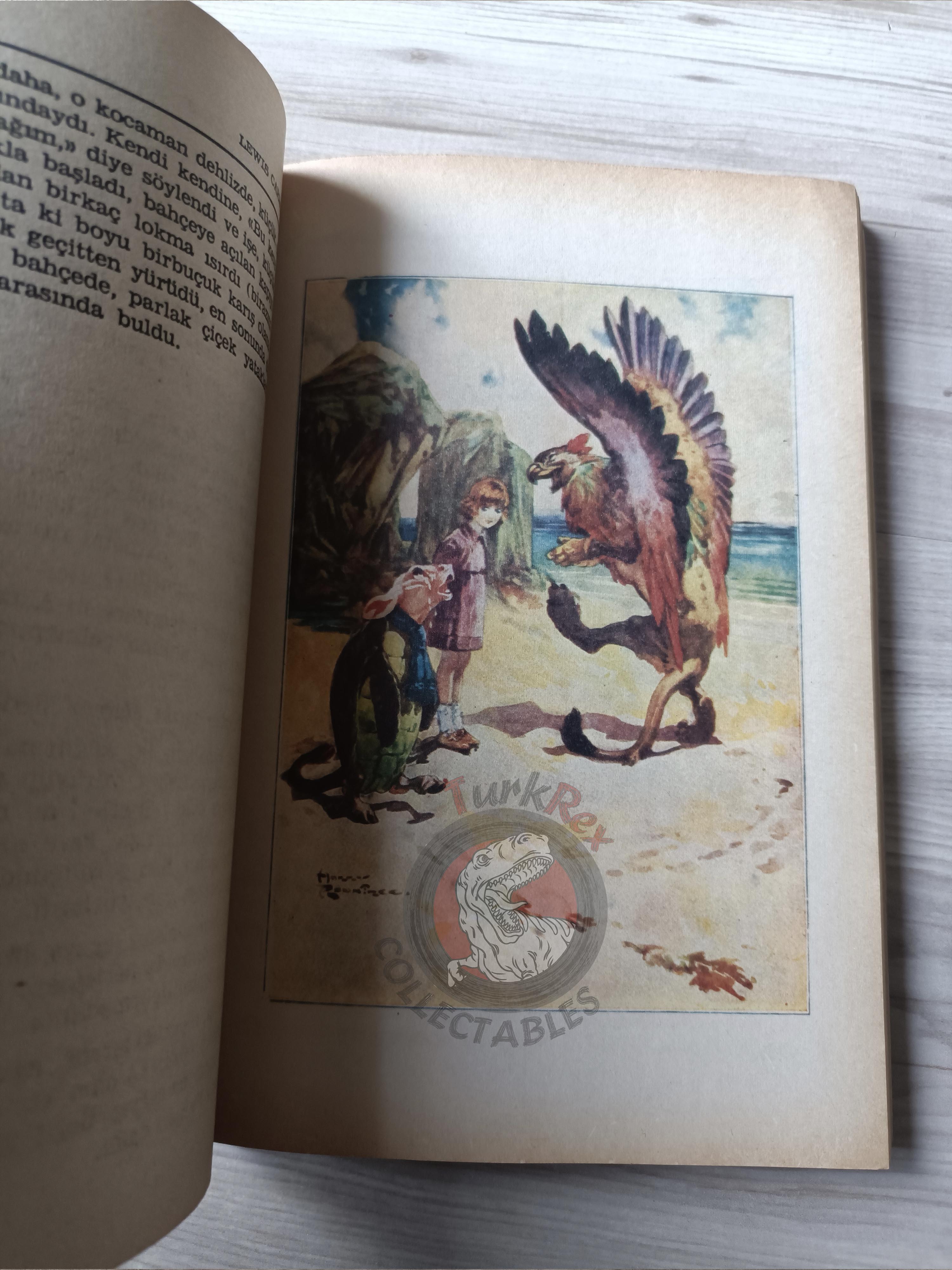 Lewis Carroll – Alice in Wonderland 1985 Turkish Book Turkey Illustrated John Tenniel