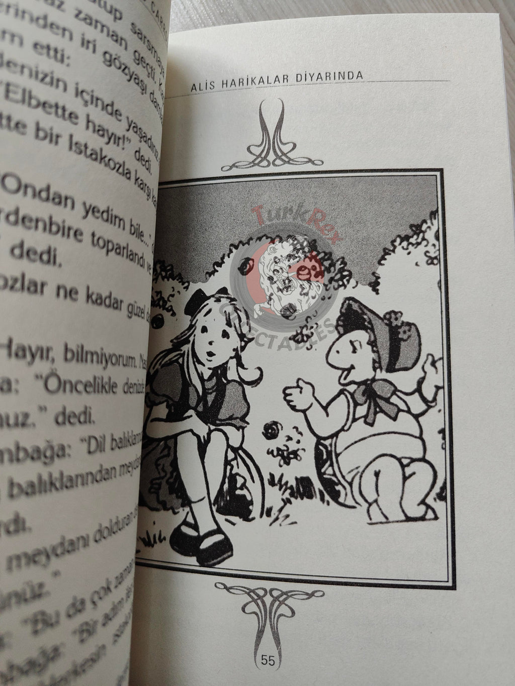 Lewis Carroll – Alice in Wonderland 2006 Turkish Book Turkey Illustrated