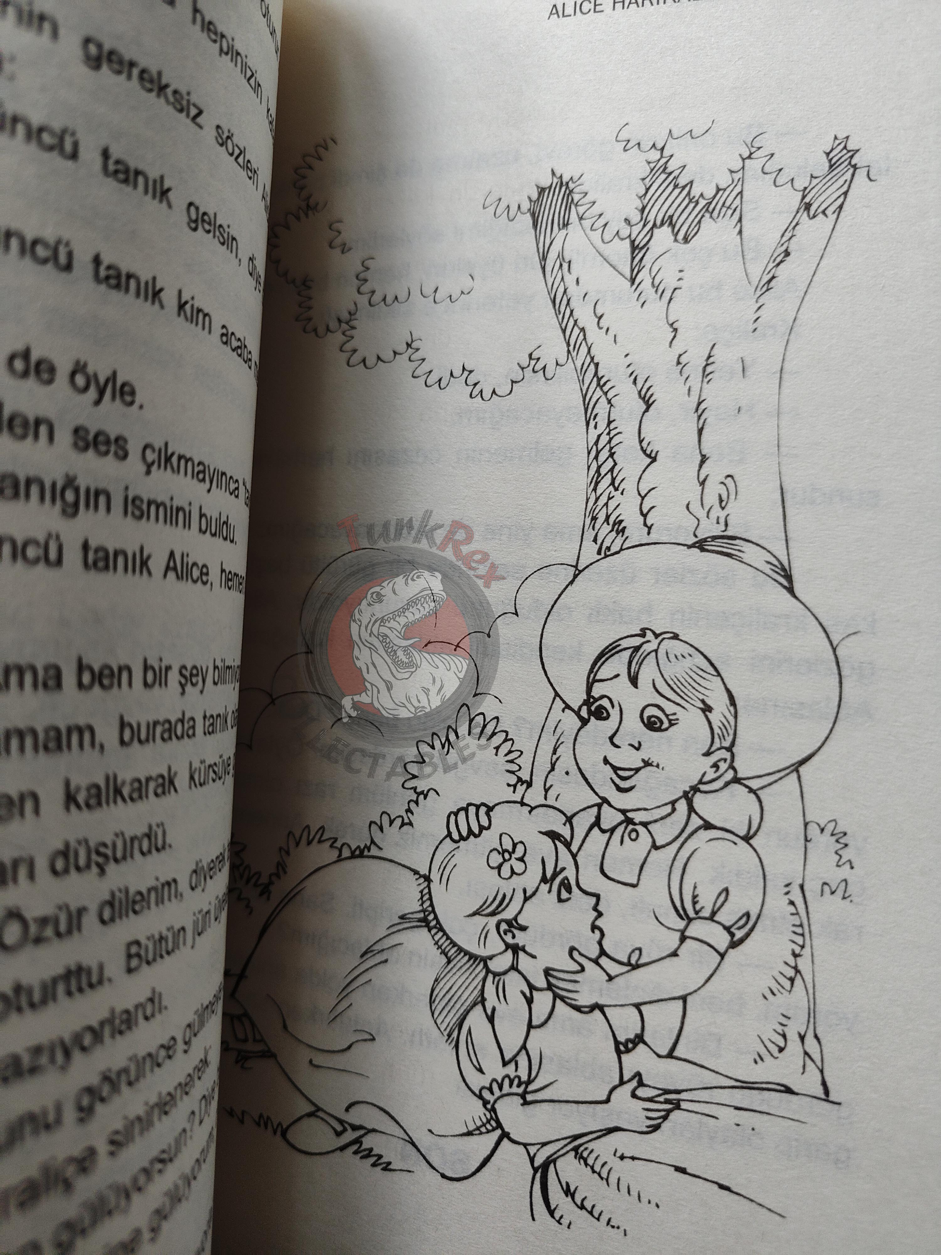 Lewis Carroll – Alice in Wonderland 2000s Turkish Book Turkey Illustrated 2