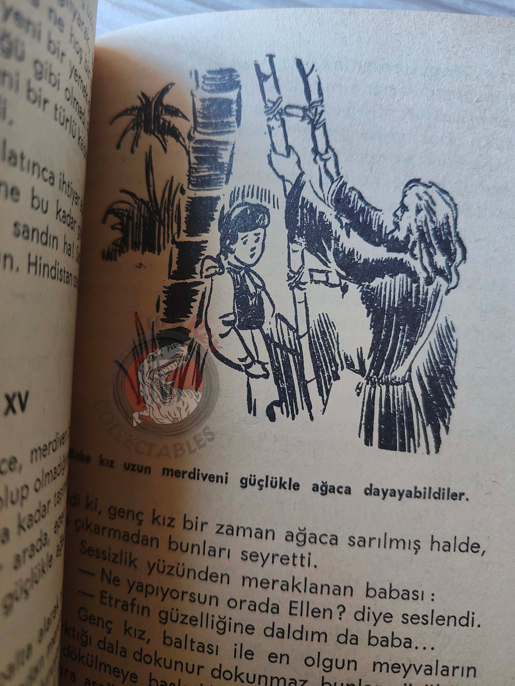 Elena Eduardovna Granstrem – A Year on a Desert Island 1964 Turkish Book Turkey Illustrated