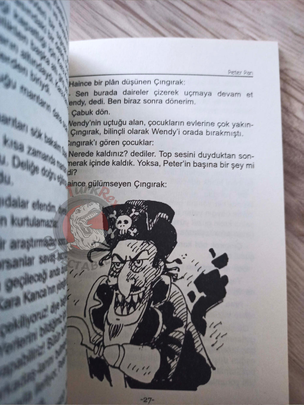J. M. Barrie – Peter Pan 2011 Turkish Book Turkey Illustrated 2