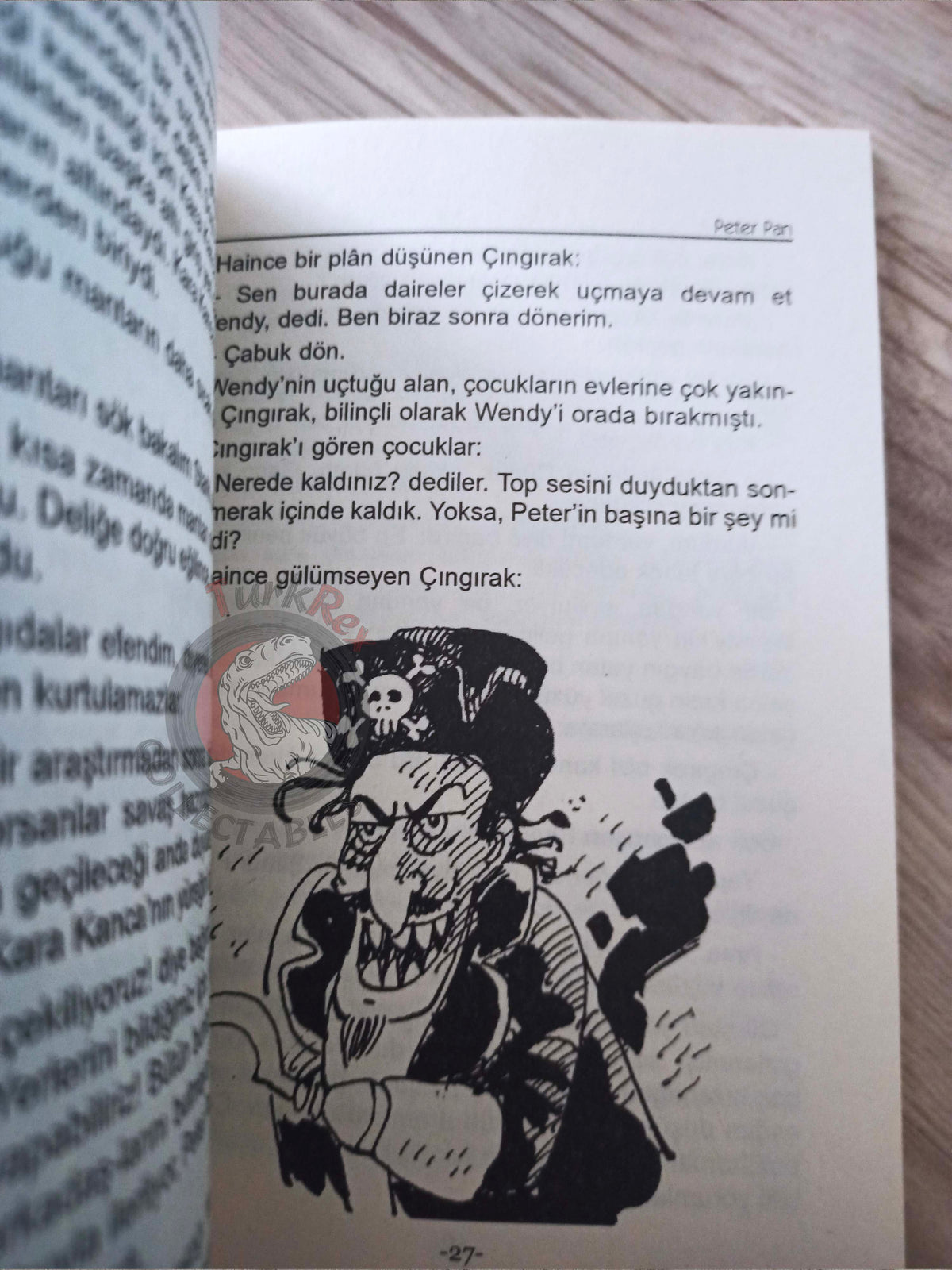J. M. Barrie – Peter Pan 2011 Turkish Book Turkey Illustrated 2
