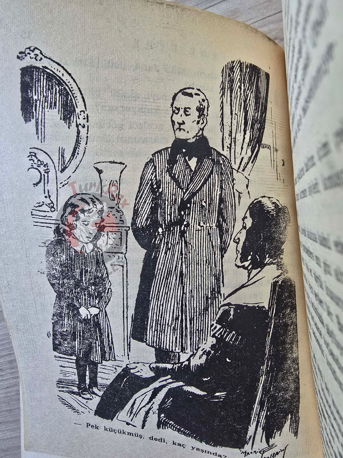 Charlotte Brontë – Jane Eyre 1972 Turkish Book Turkey Illustrated Maurice Toussaint