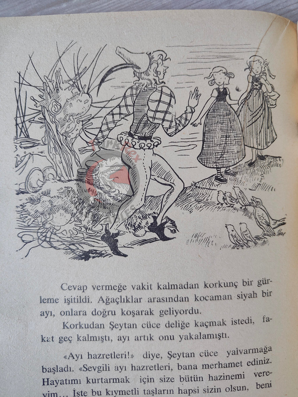 Grimm Brothers –  The Wren and the Bear 1965 Turkish Book Turkey Illustrated