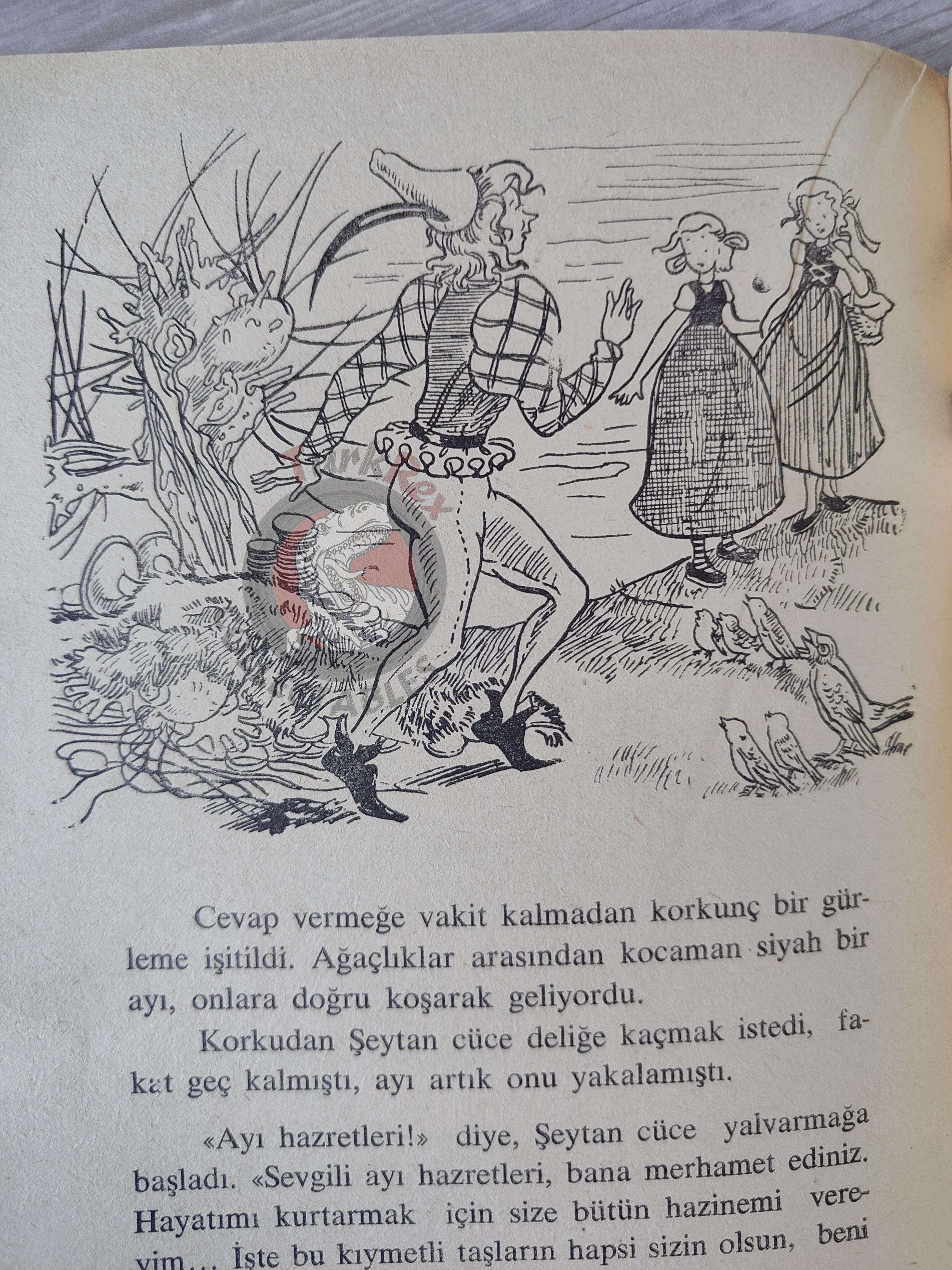 Grimm Brothers –  The Wren and the Bear 1965 Turkish Book Turkey Illustrated