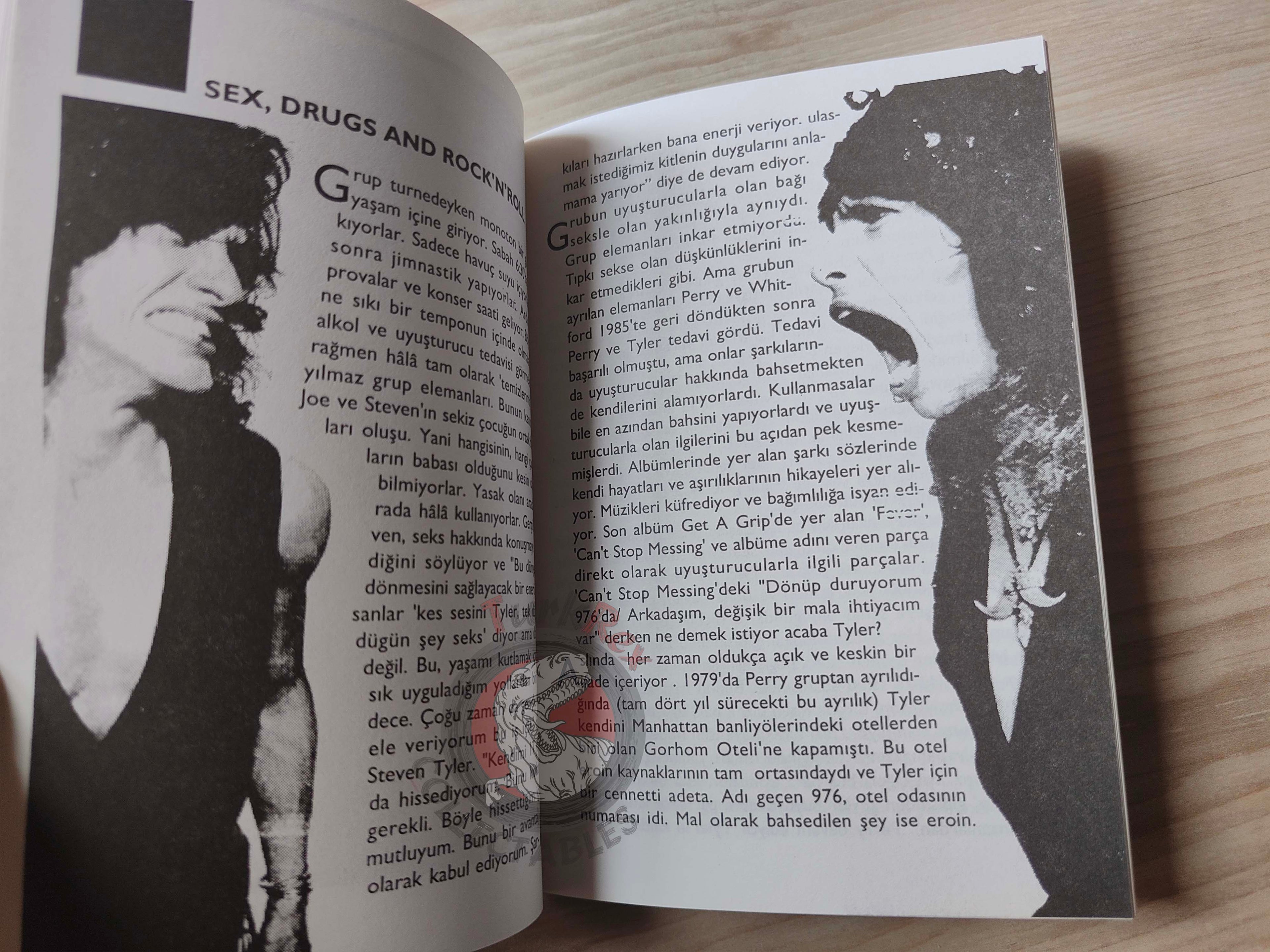 Aerosmith Biography Book 1995 1st by Turkish Writer Book Turkey