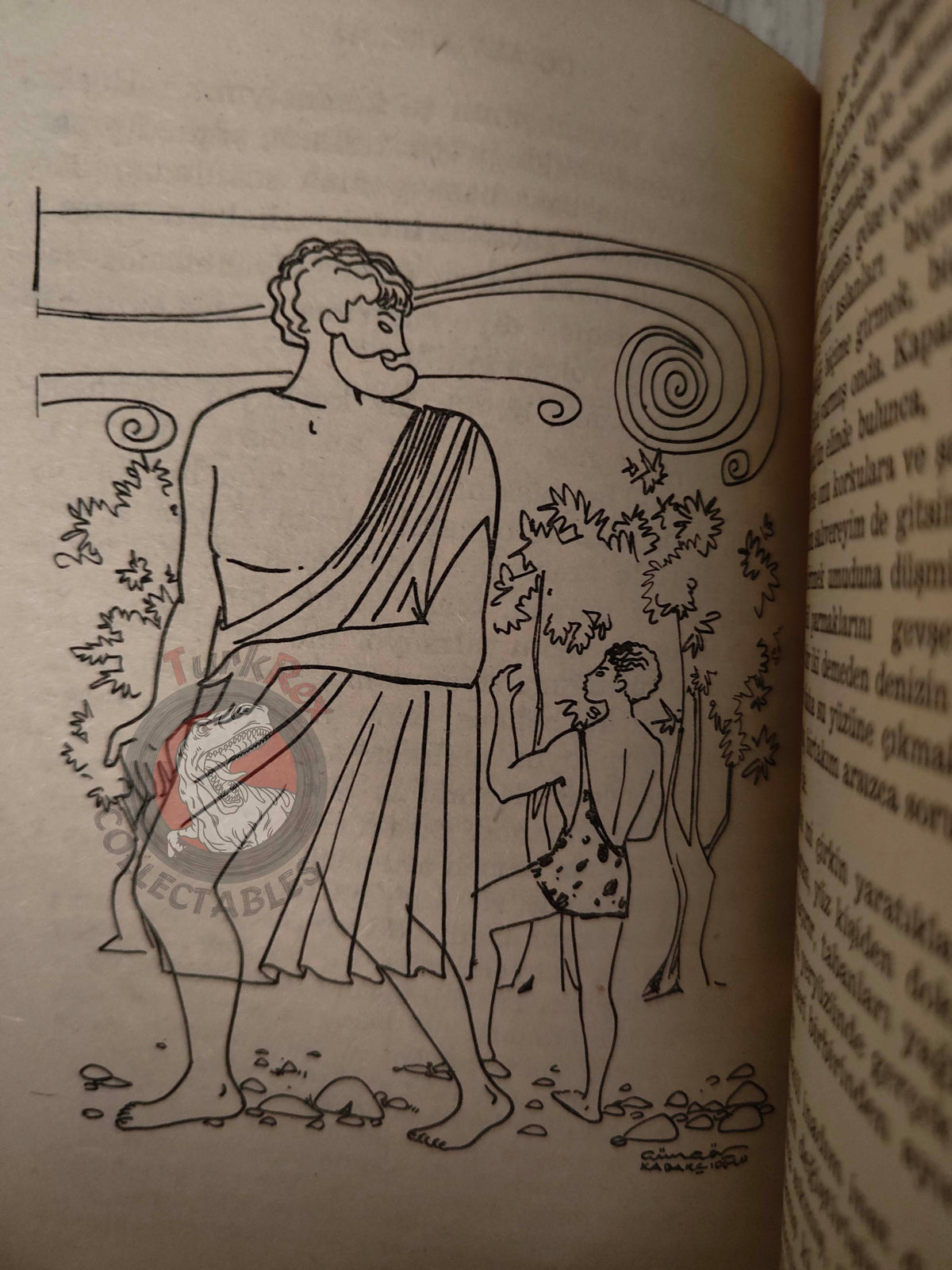 Nathaniel Hawthorne – A Wonderbook for Girls and Boys 1964 Turkish Book Turkey Illustrated