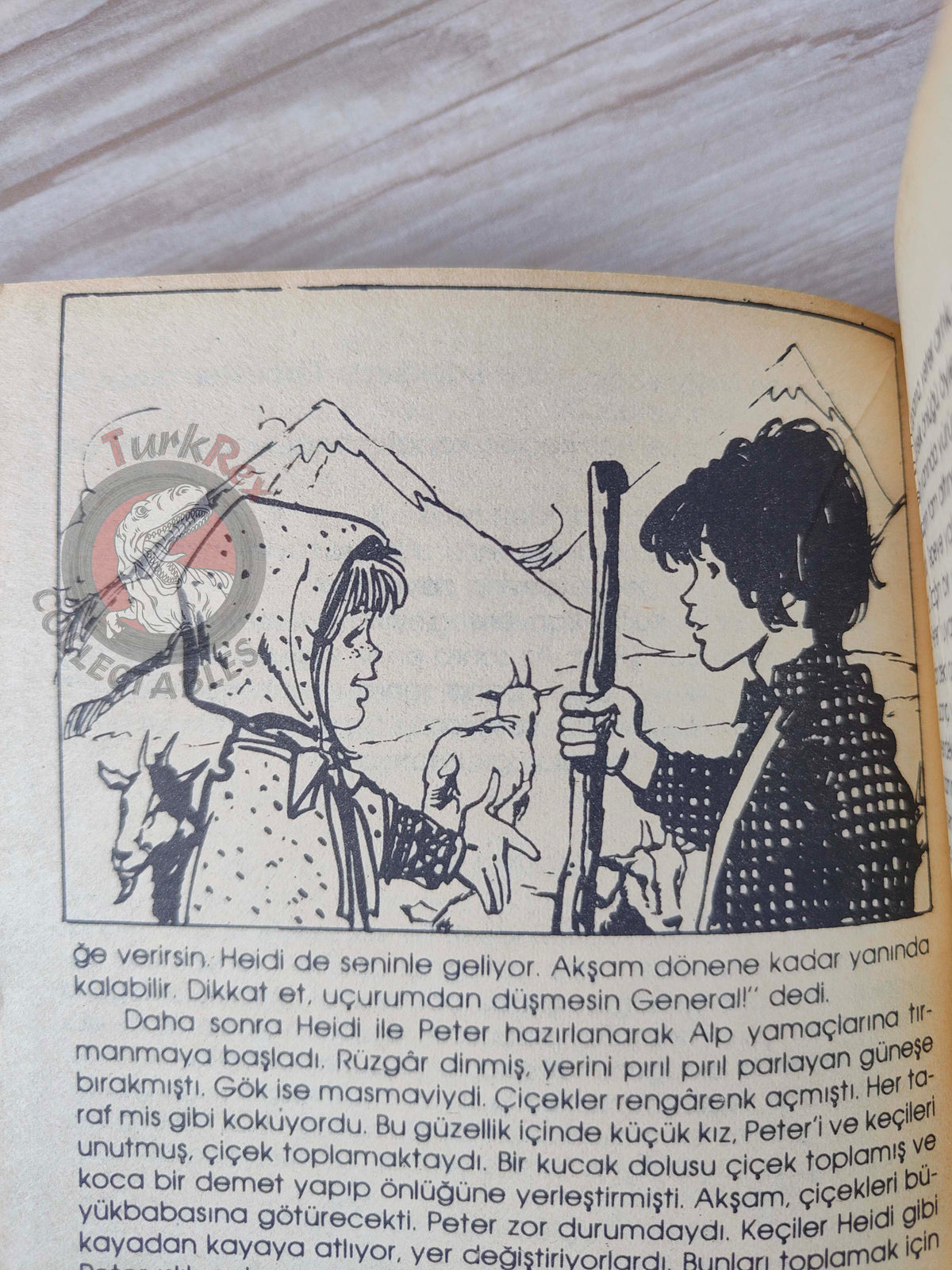 Johanna Spyri – Heidi 1980s Turkish Book Turkey Illustrated