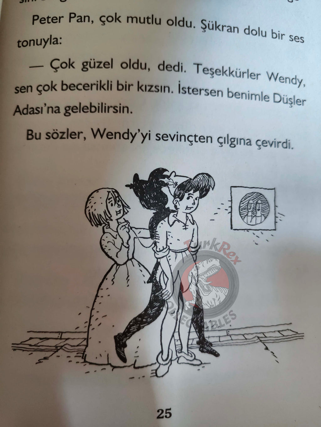 J. M. Barrie – Peter Pan 2011 Turkish Book Turkey Illustrated 4