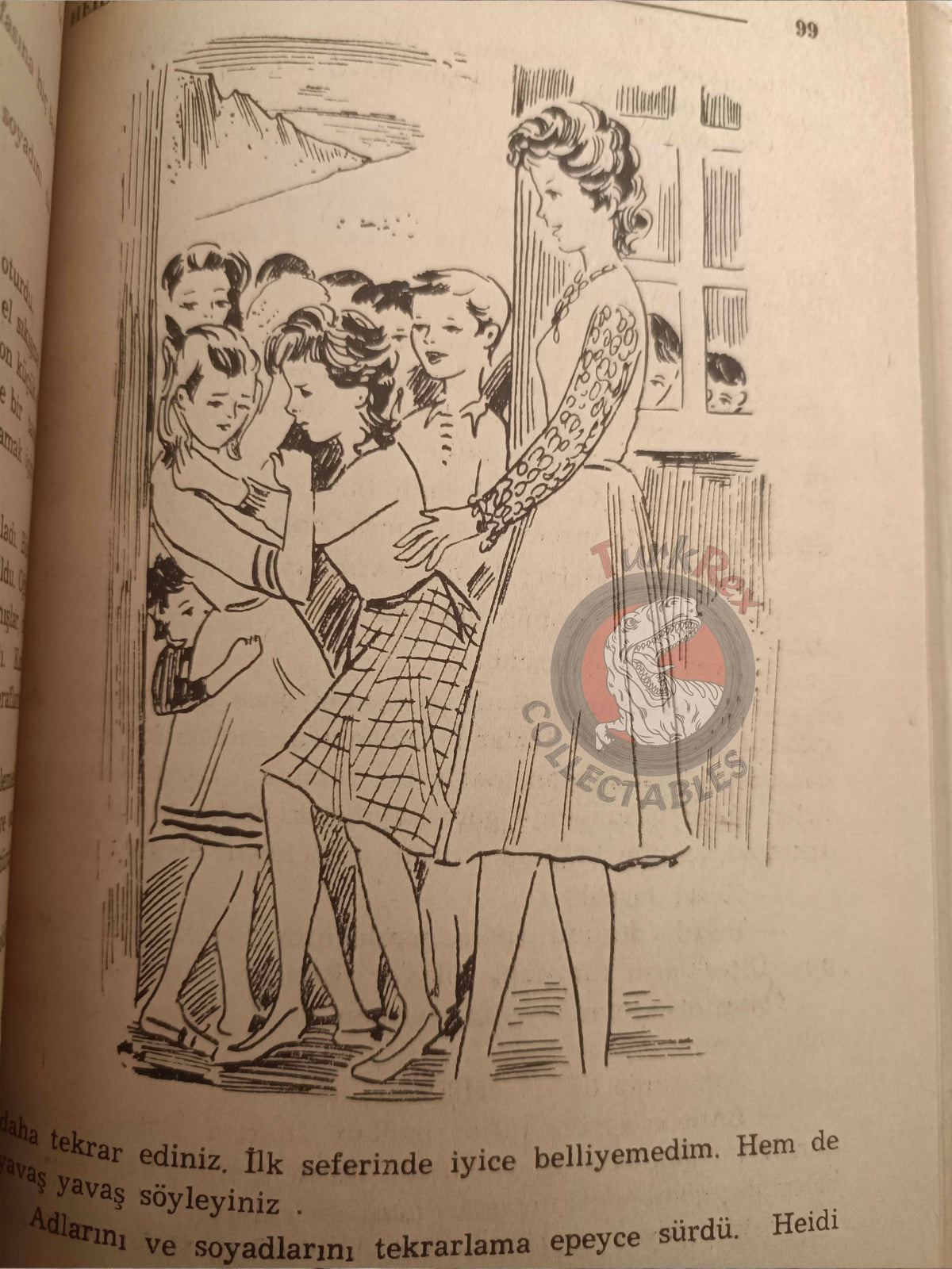 Johanna Spyri – Heidi Grows Up 1966 Turkish Book Turkey Illustrated