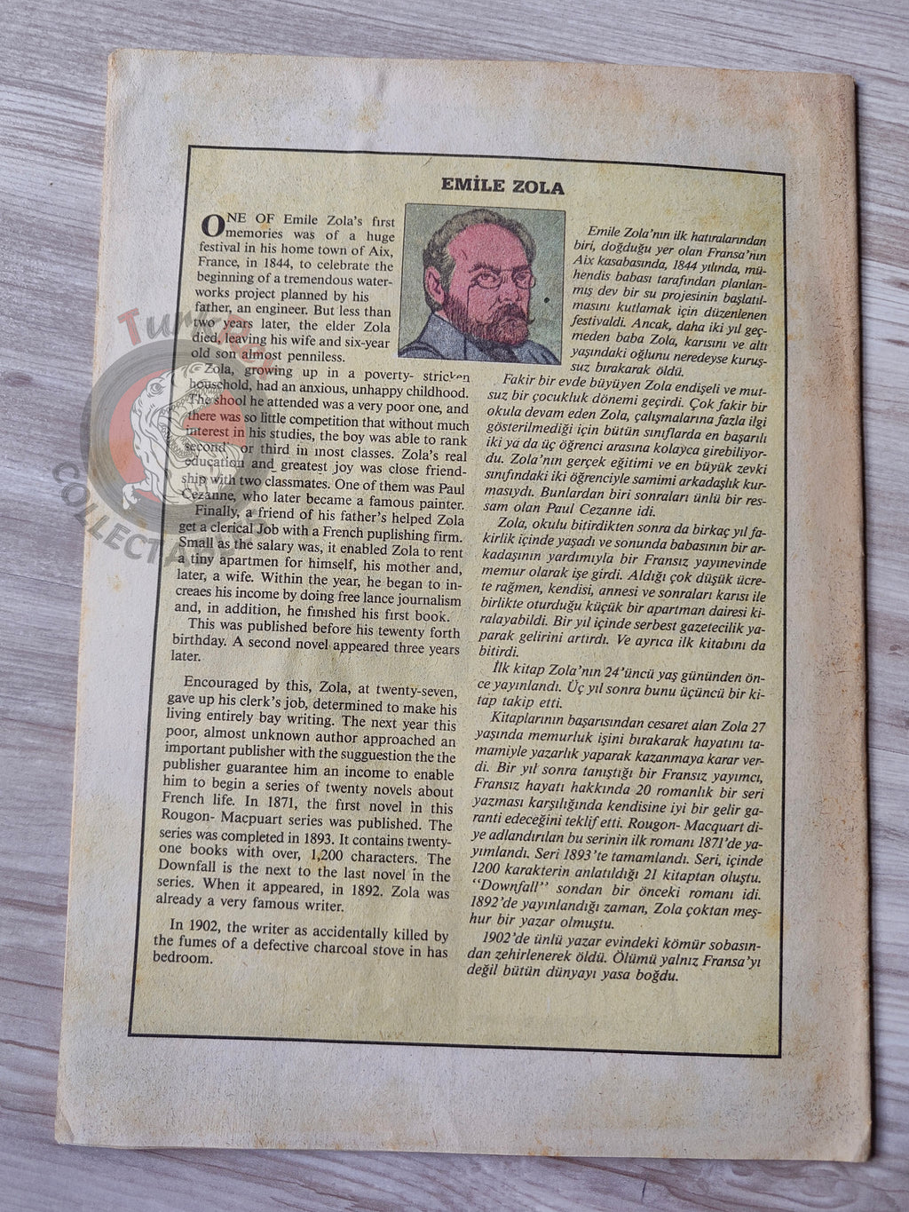 The Downfall  –  Emile Zola Turkish Comic Turkey Classics Illustrated