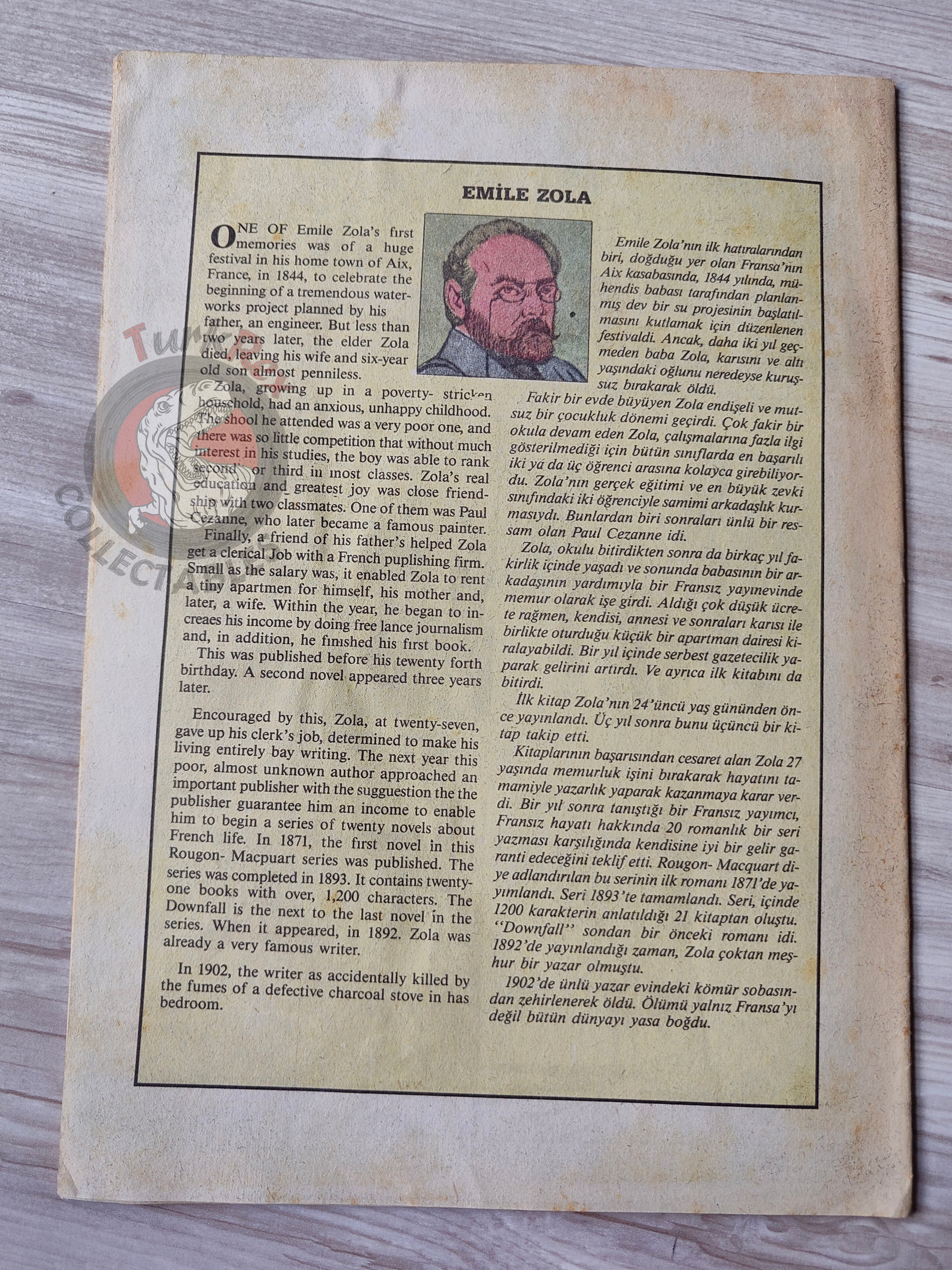 The Downfall  –  Emile Zola Turkish Comic Turkey Classics Illustrated