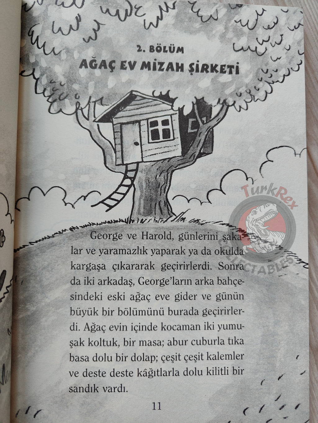 The Adventures of Captain Underpants Turkish Turkey Dav Pilkey