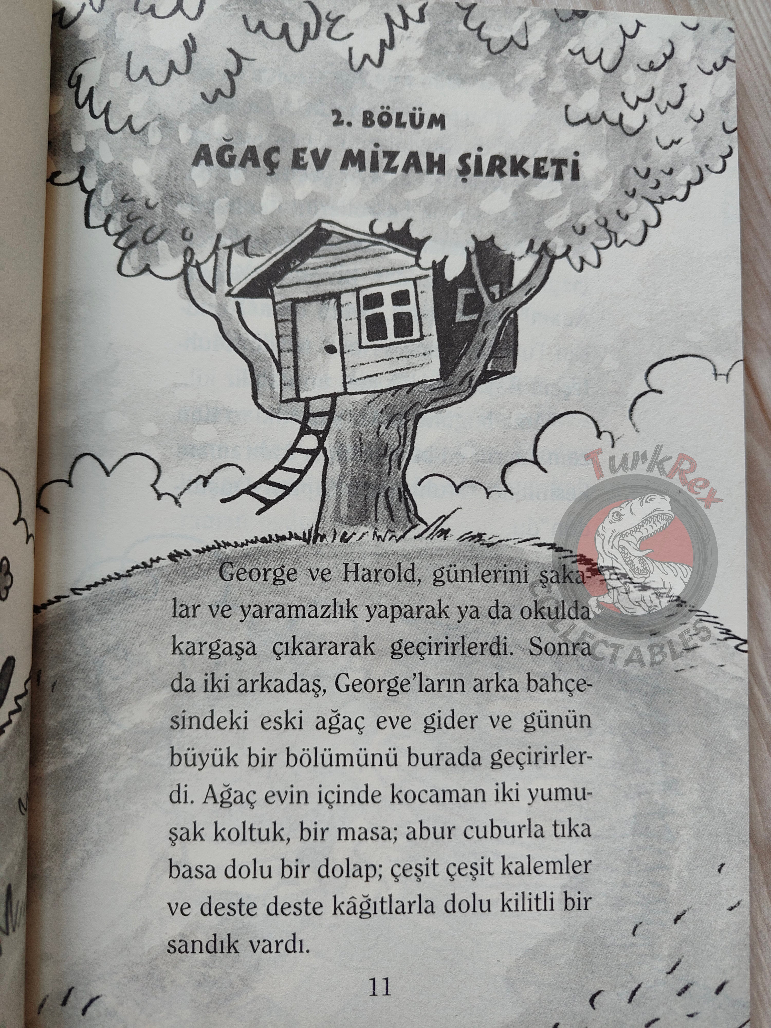 The Adventures of Captain Underpants Turkish Turkey Dav Pilkey
