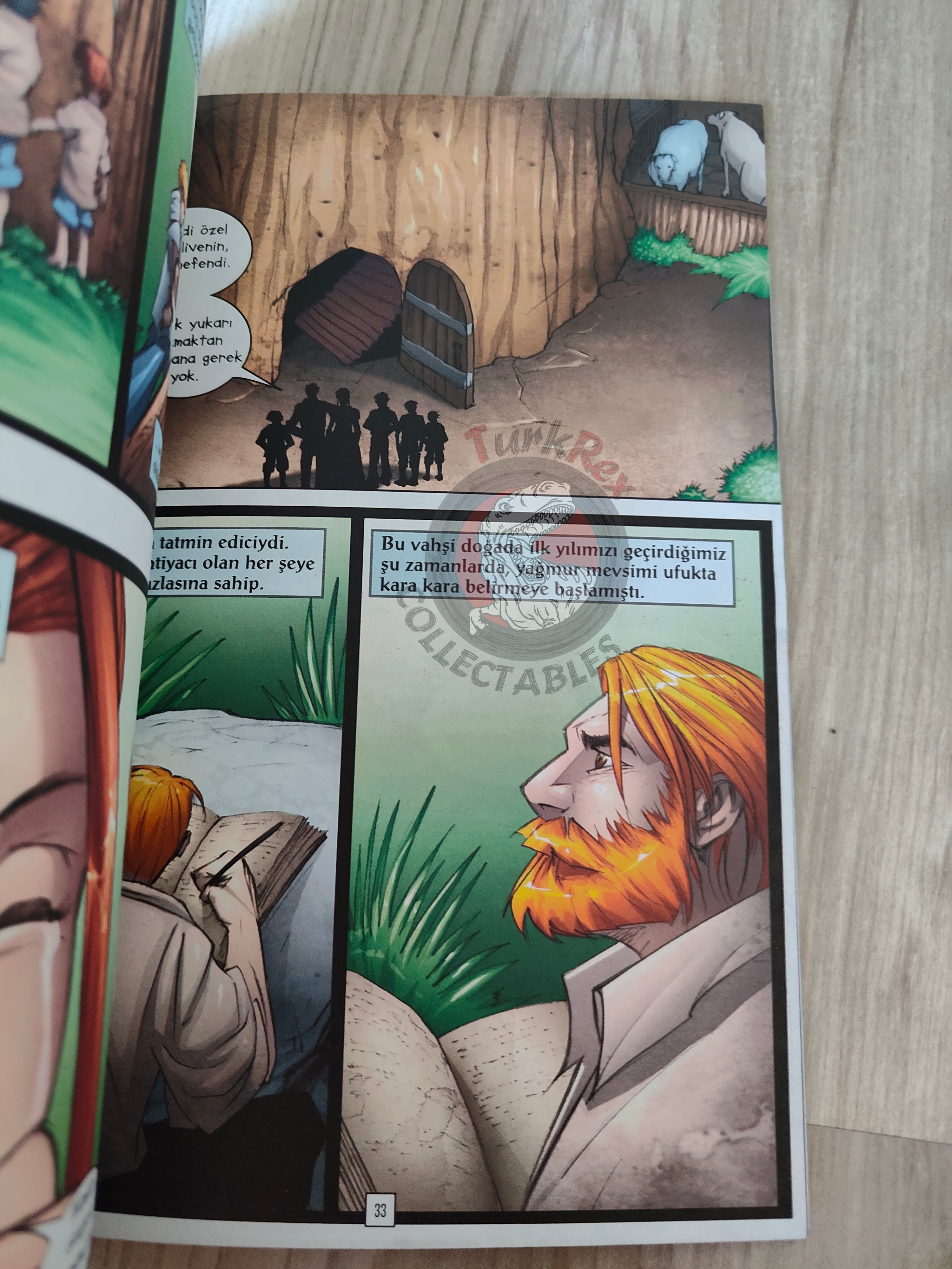 The Swiss Family Robinson – Johann David Wyss Turkish Comic Turkey Stone Arch Books