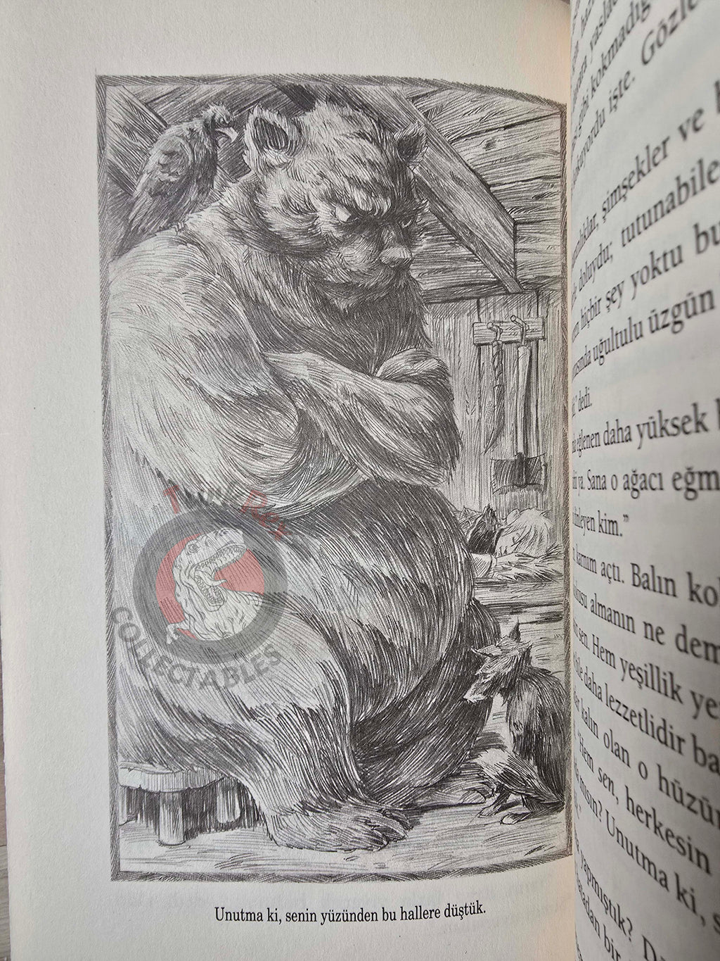 Neil Gaiman – Odd And The Frost Giants 2020 1st Turkish Book Turkey Illustrated