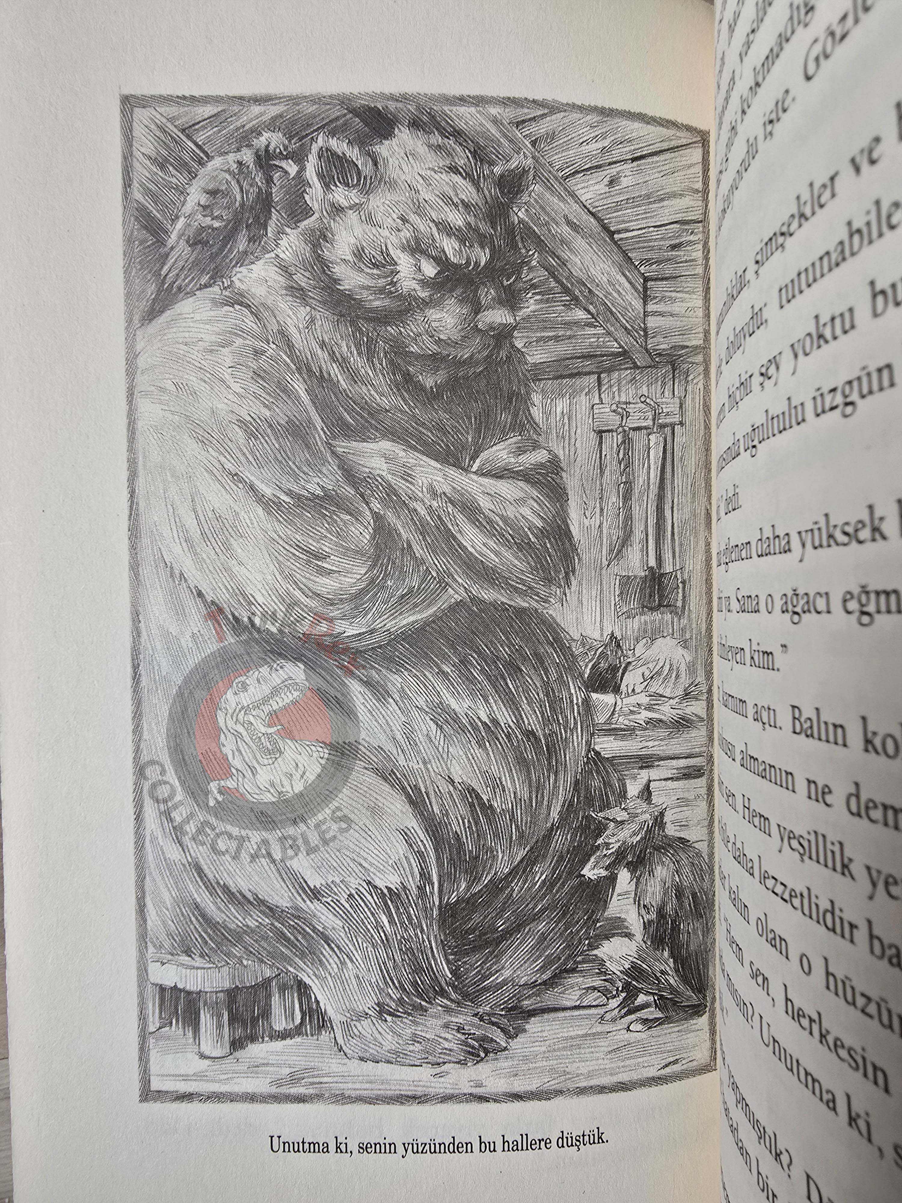 Neil Gaiman – Odd And The Frost Giants 2020 1st Turkish Book Turkey Illustrated