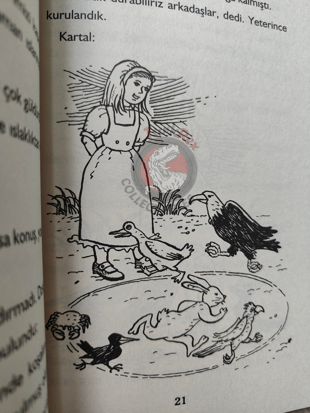 Lewis Carroll – Alice in Wonderland 2013 Turkish Book Turkey Illustrated
