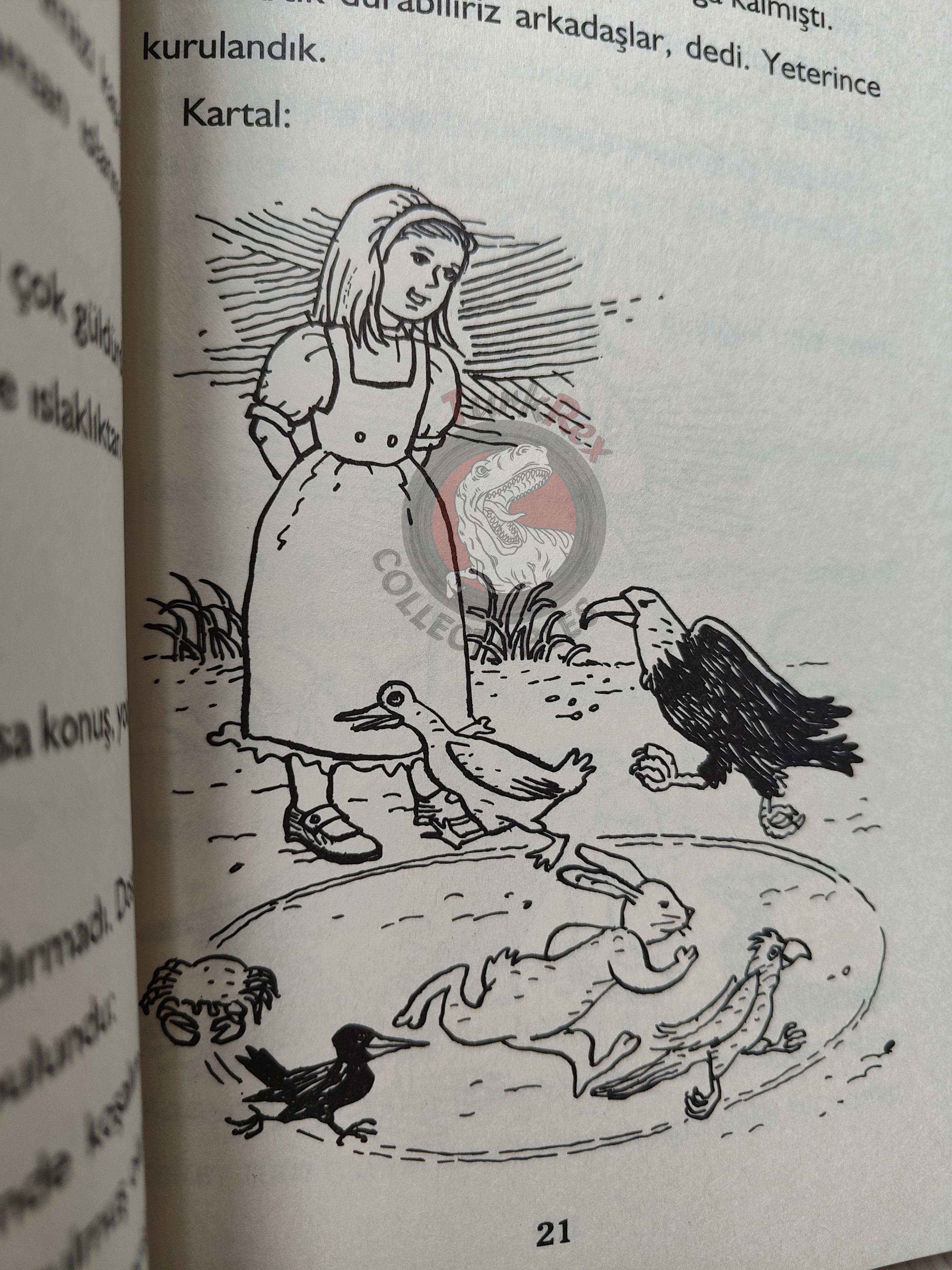Lewis Carroll – Alice in Wonderland 2013 Turkish Book Turkey Illustrated