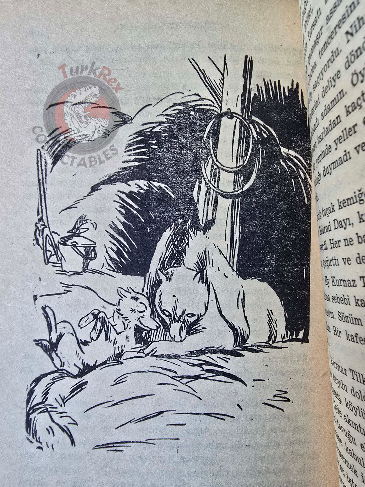 Reynard the Fox 1963 Turkish Book Turkey Illustrated