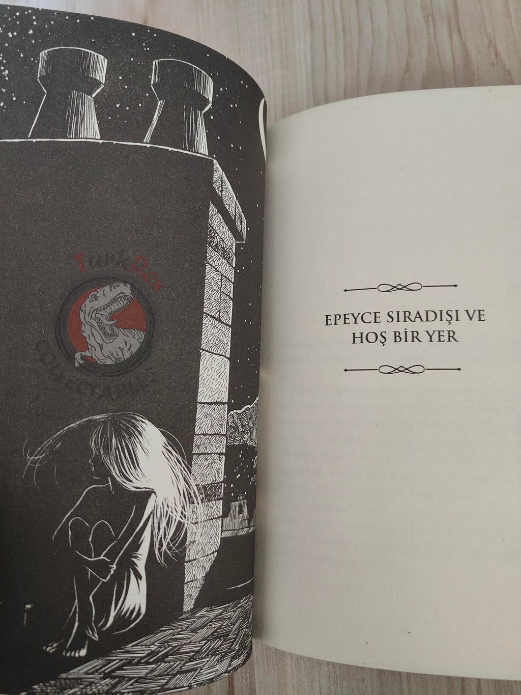 Patrick Rothfuss  – The Slow Regard of Silent Things 2015 1st Turkish Book Turkey