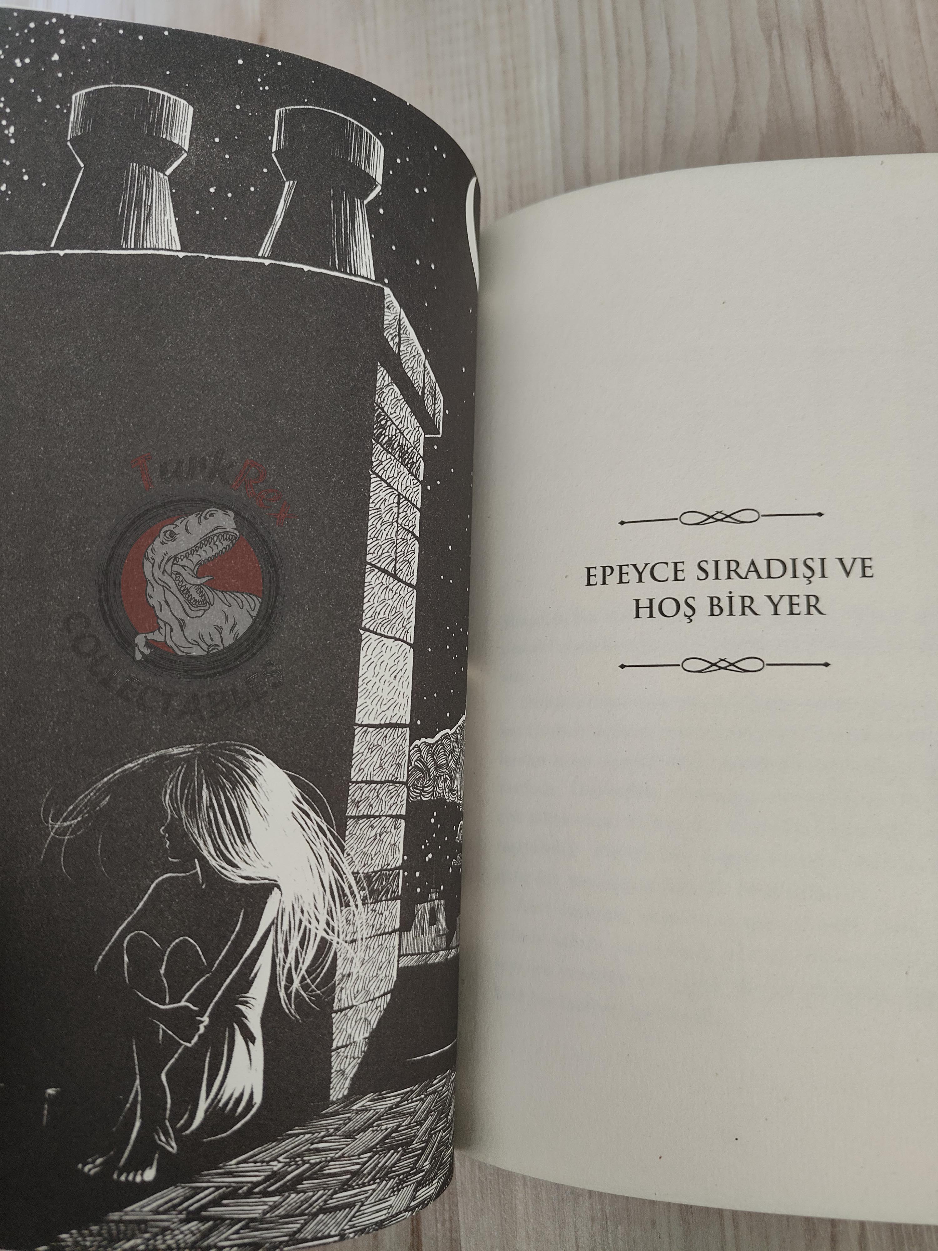 Patrick Rothfuss  – The Slow Regard of Silent Things 2015 1st Turkish Book Turkey