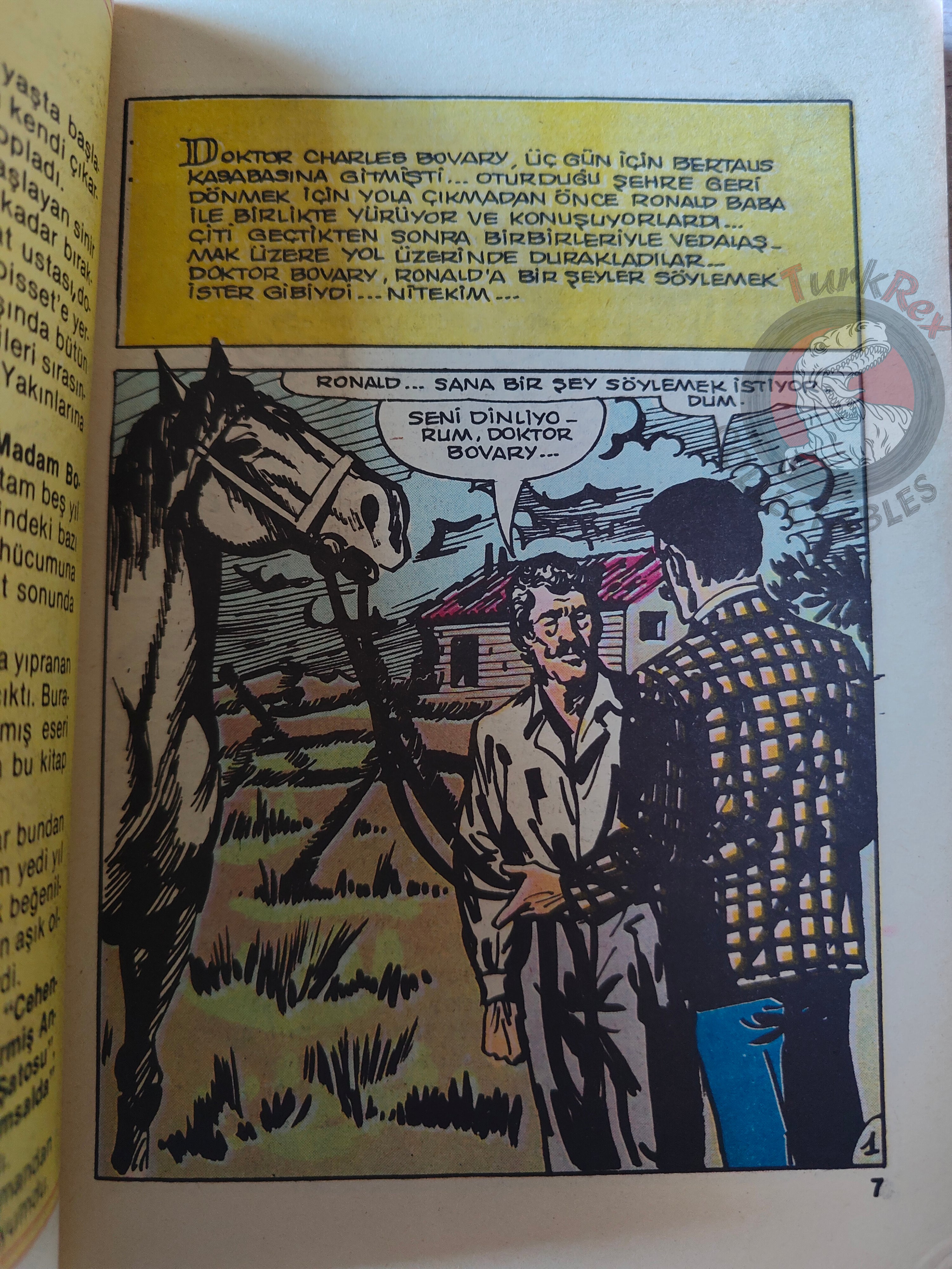 Madame Bovary – Gustave Flaubert Turkish Comic Turkey Classics Illustrated