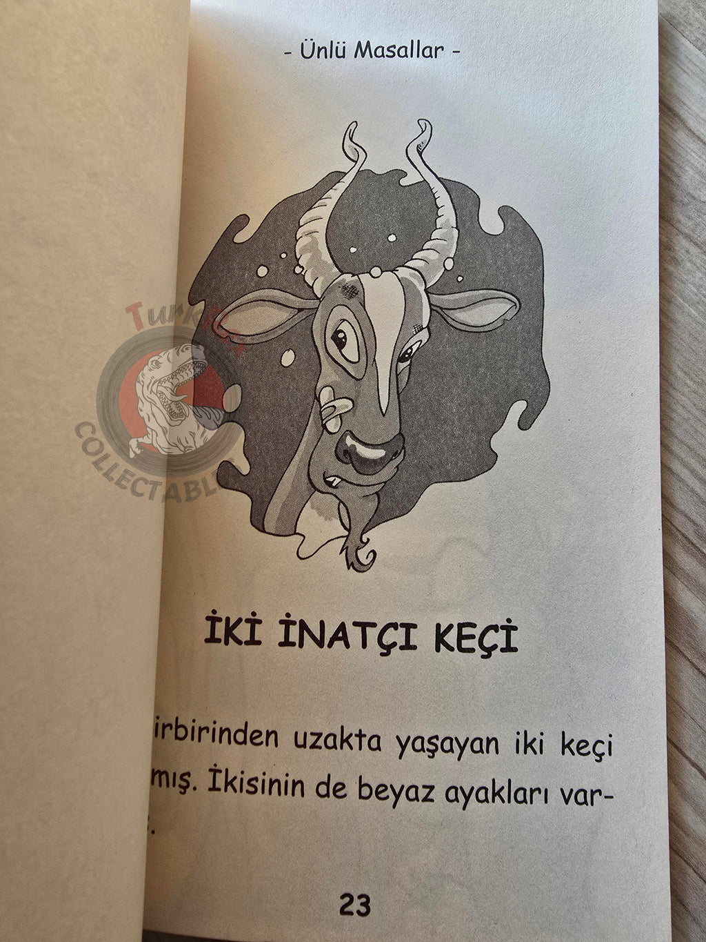 Puss in Boots – Grimm Brothers 2019 Turkish Book Turkey Illustrated