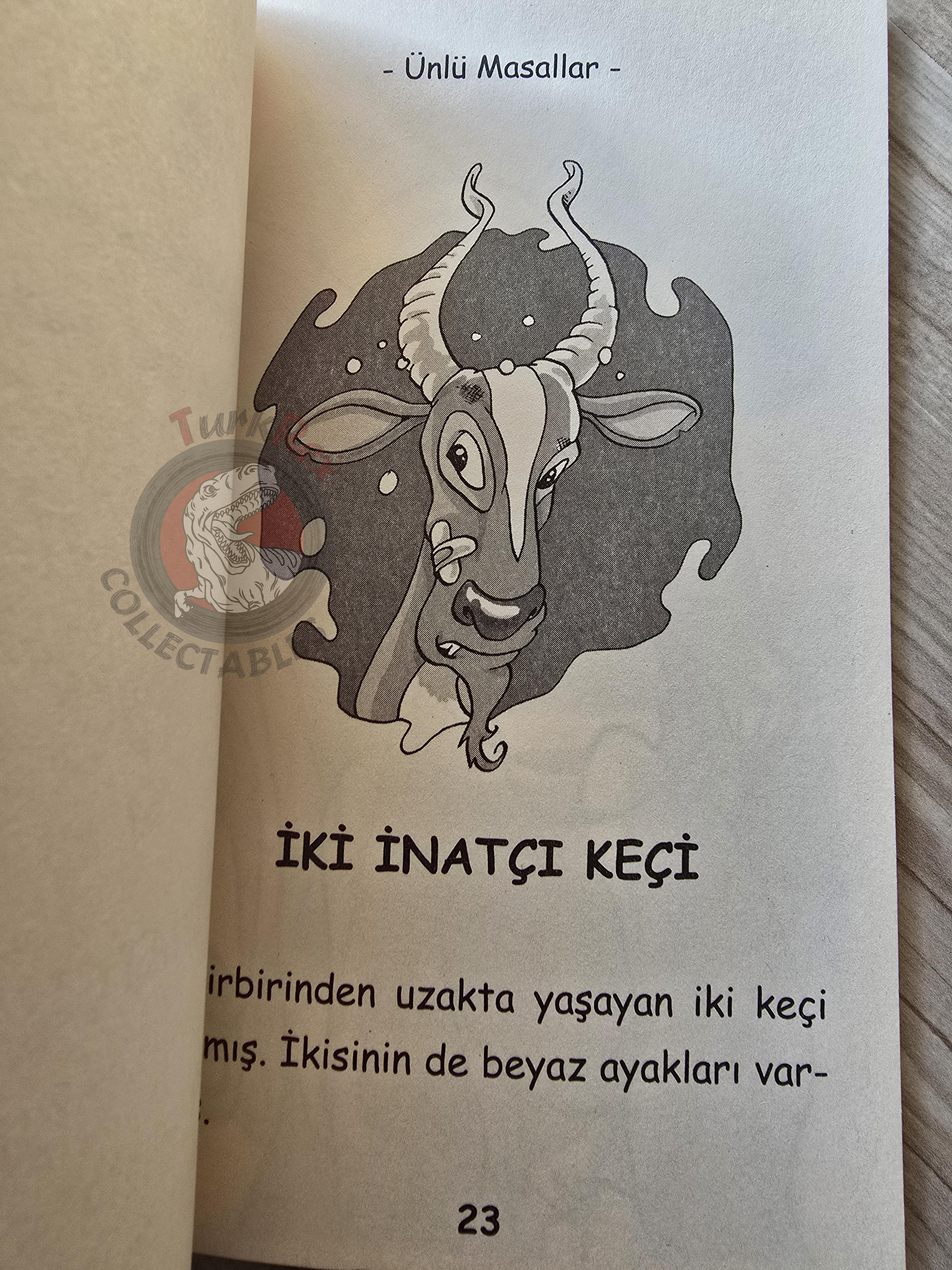 Puss in Boots – Grimm Brothers 2019 Turkish Book Turkey Illustrated