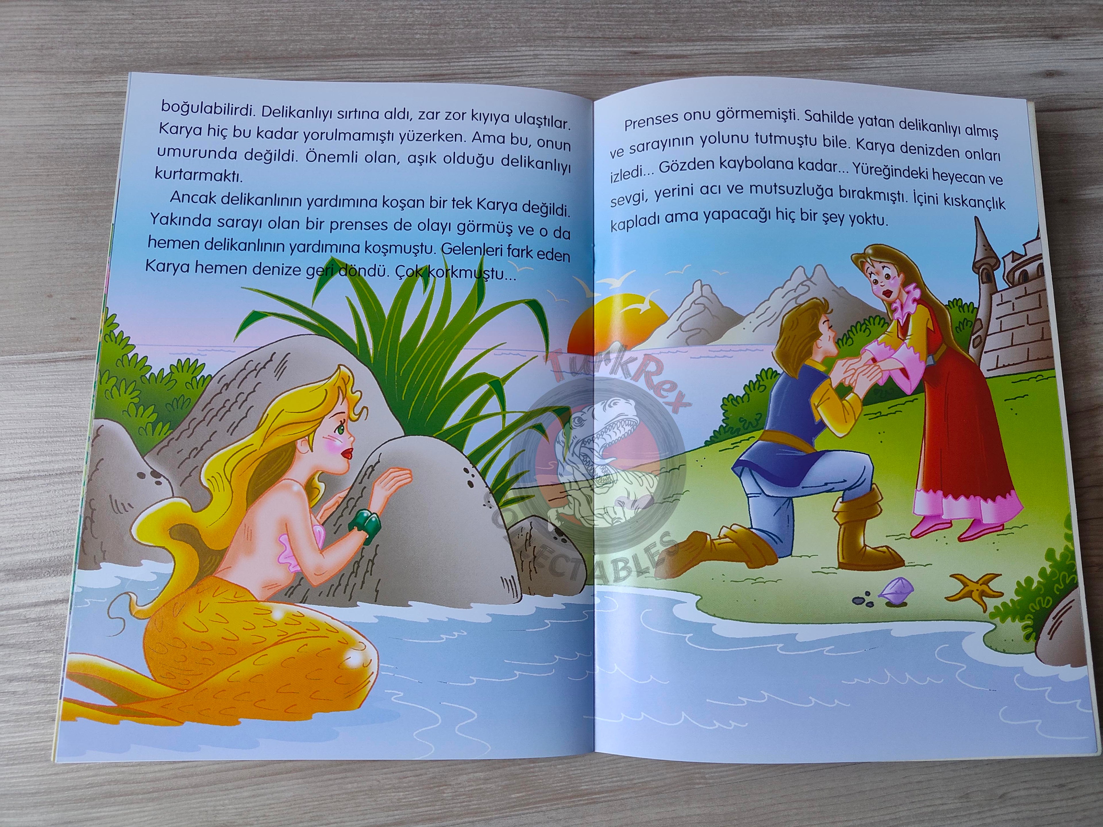 Hans Christian Andersen – The Little Mermaid 2003 Turkish Book Turkey Illustrated 1